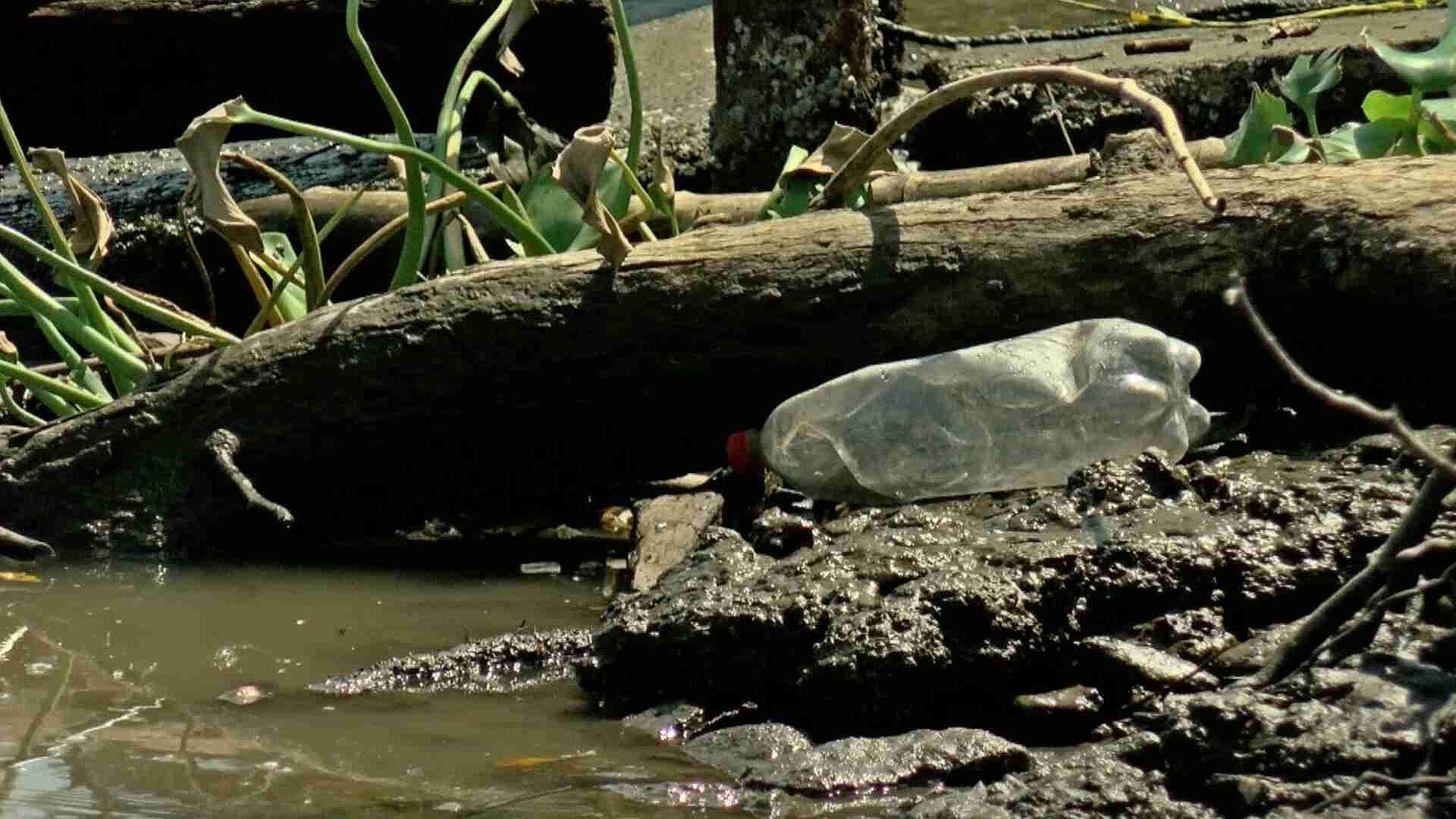 Semana Mundial del Agua: ¿Cómo Afectan los Microplásticos a Ríos, Lagos y Playas de Veracruz?