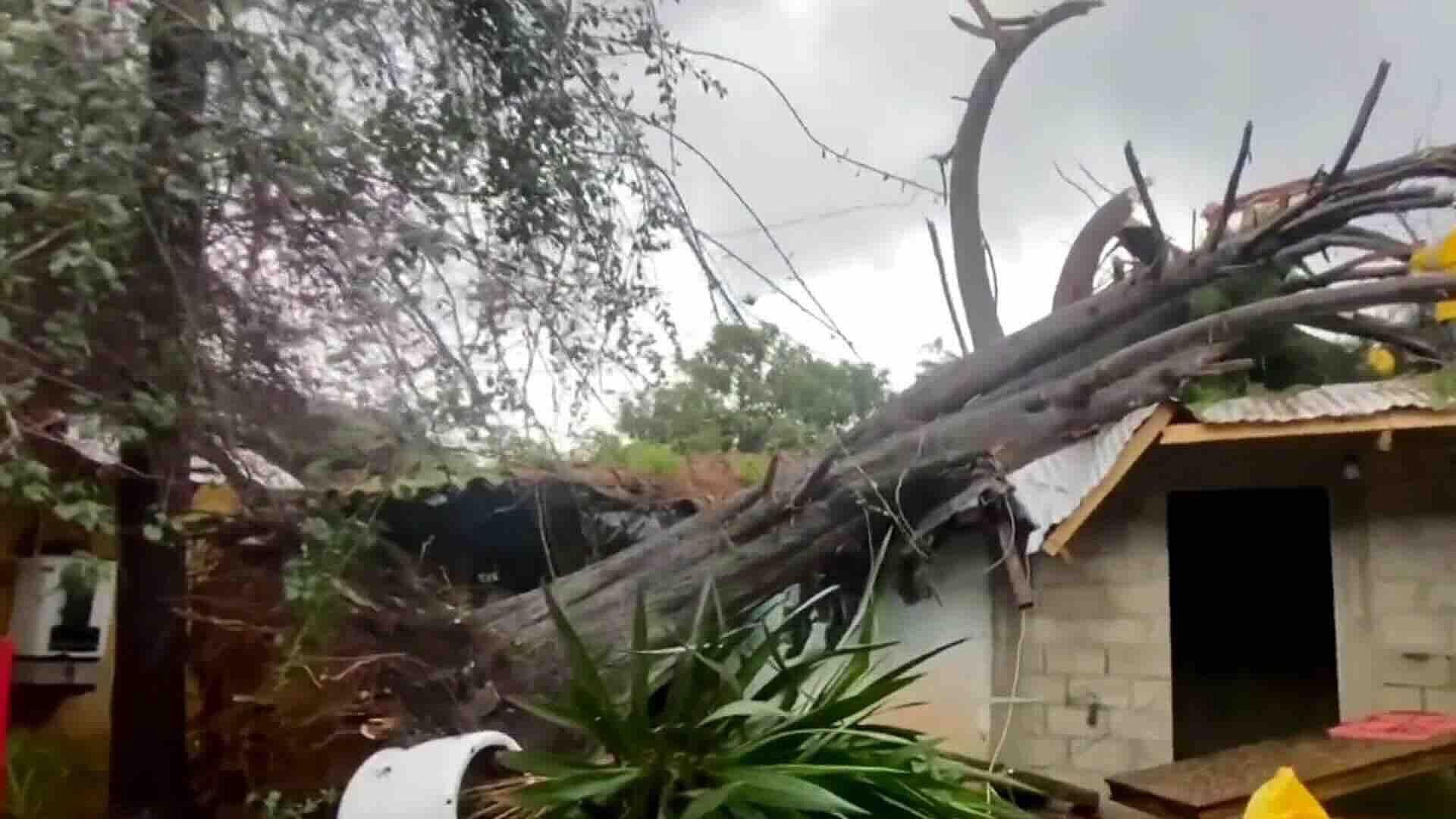 Activan Plan DN-III-E tras 2 Tornados en San Cristóbal de las Casas, Chiapas
