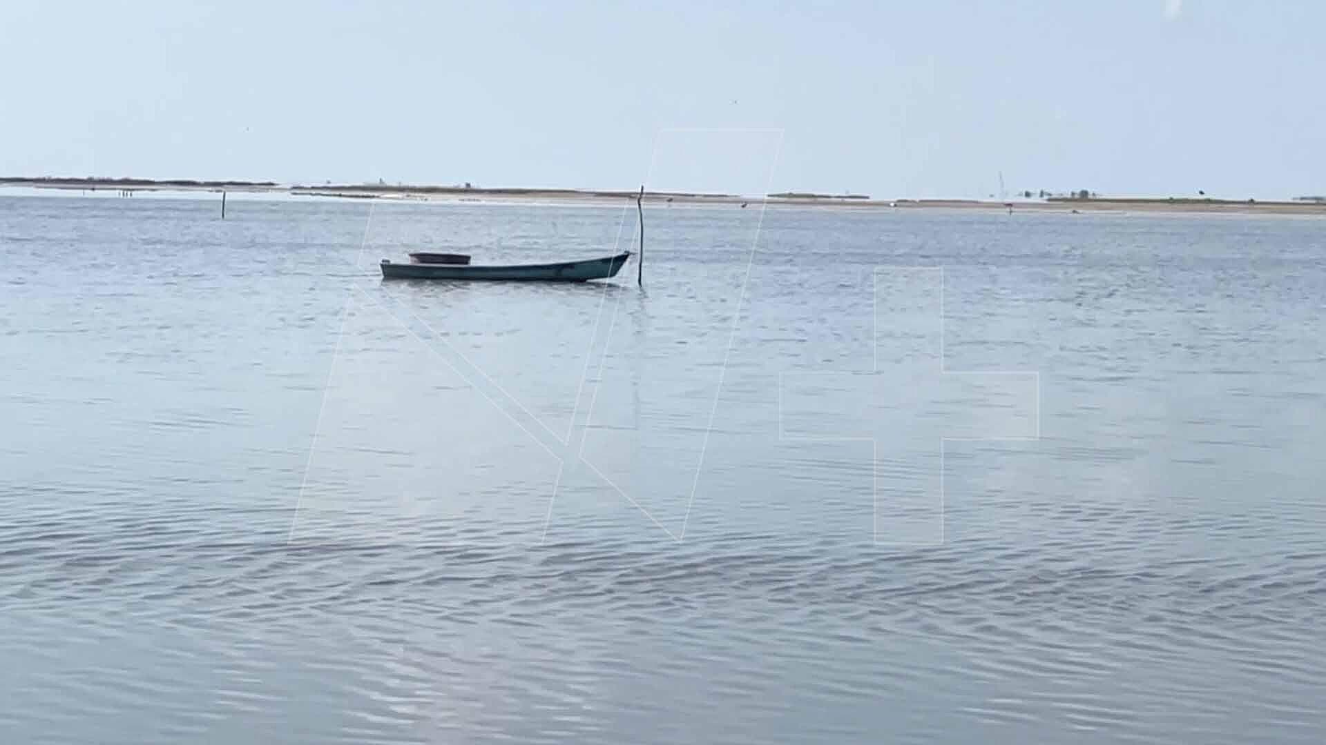 Preocupa a Pescadores Aparición de Peces Muertos en Playa El Mezquital