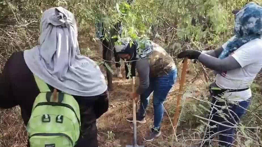 Localizan Dos Osamentas en el Municipio de Bácum