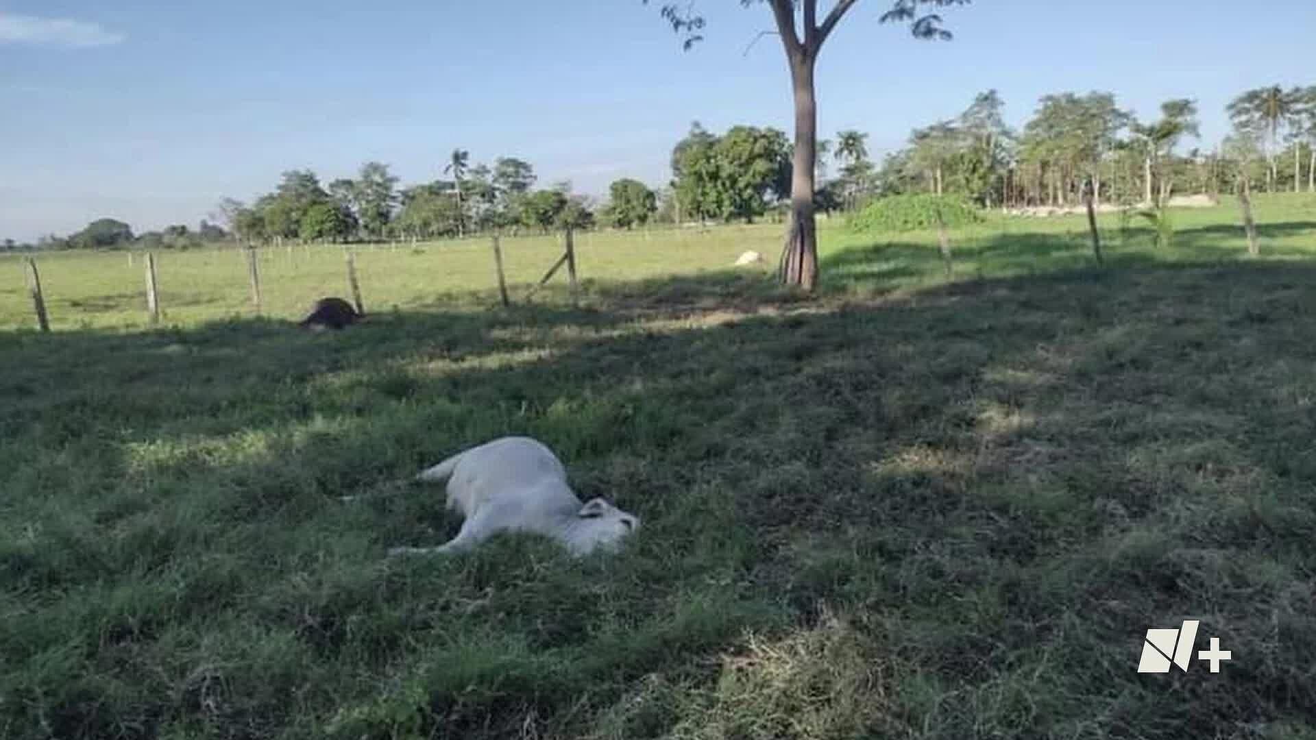 Reportan Fuga de Gas en Ducto de Comalcalco, Tabasco
