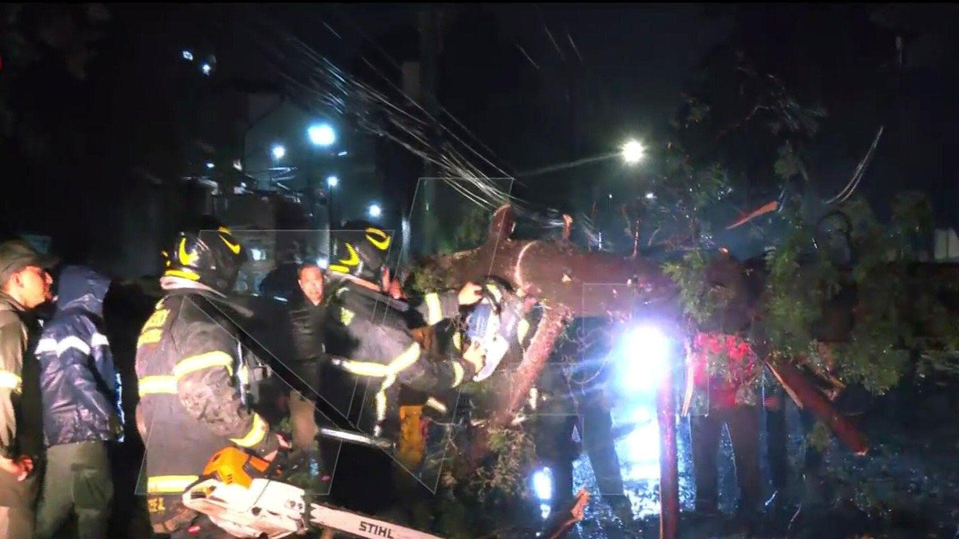 Fuerte Lluvia con Granizo Derriba Enorme Árbol en la Avenida Desierto de los Leones, en CDMX