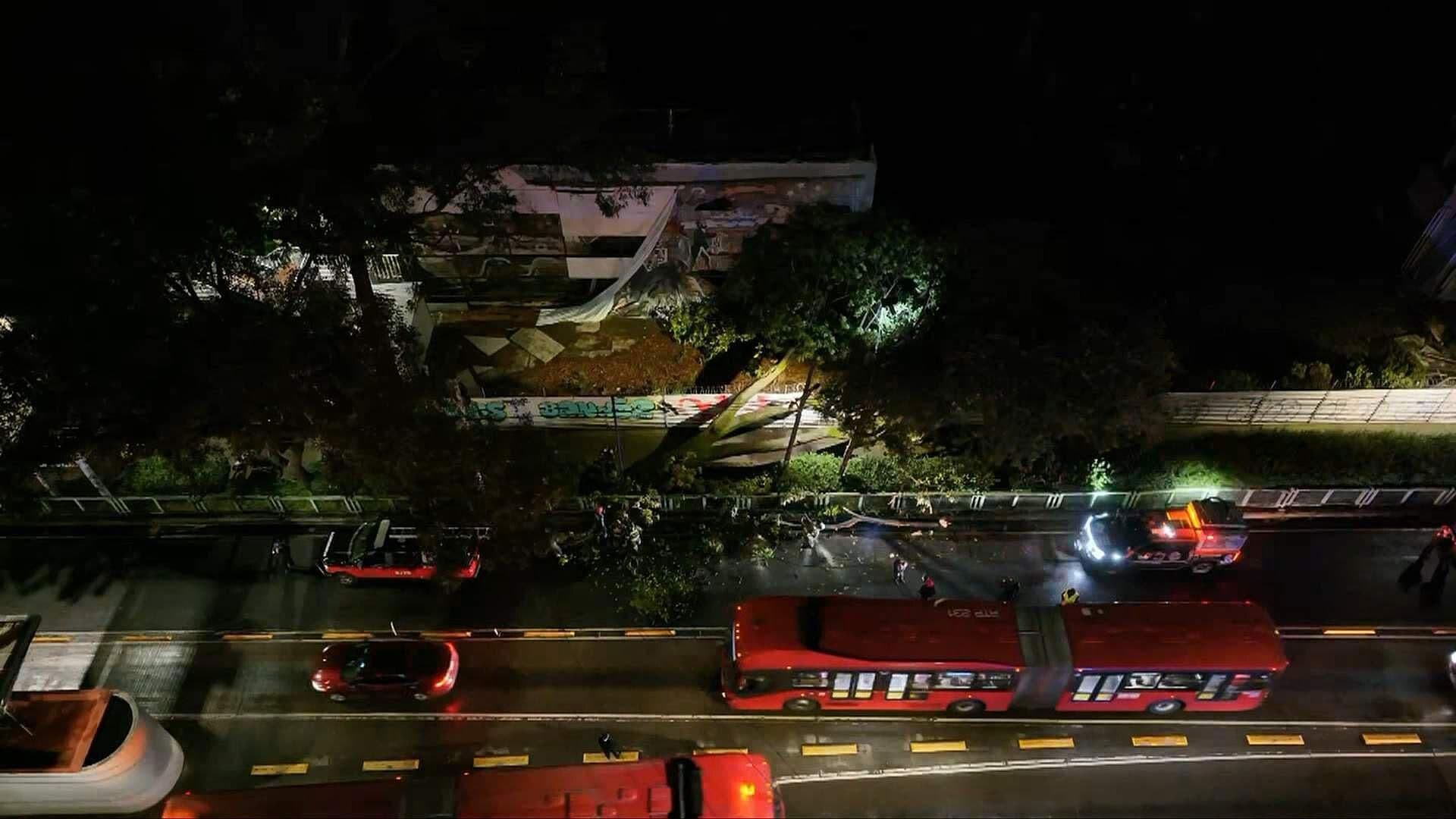 Desde el Aire: Así se Ve el Colapso de Enorme Árbol en la Colonia Narvarte, Benito Juárez