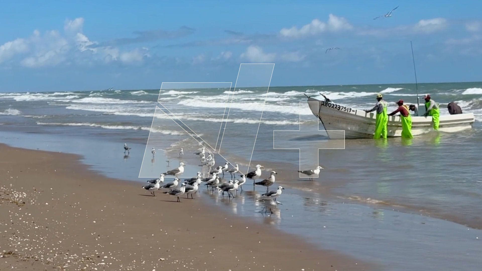 Realizan Pruebas de Gripe Aviar a Personas en Playa de Matamoros