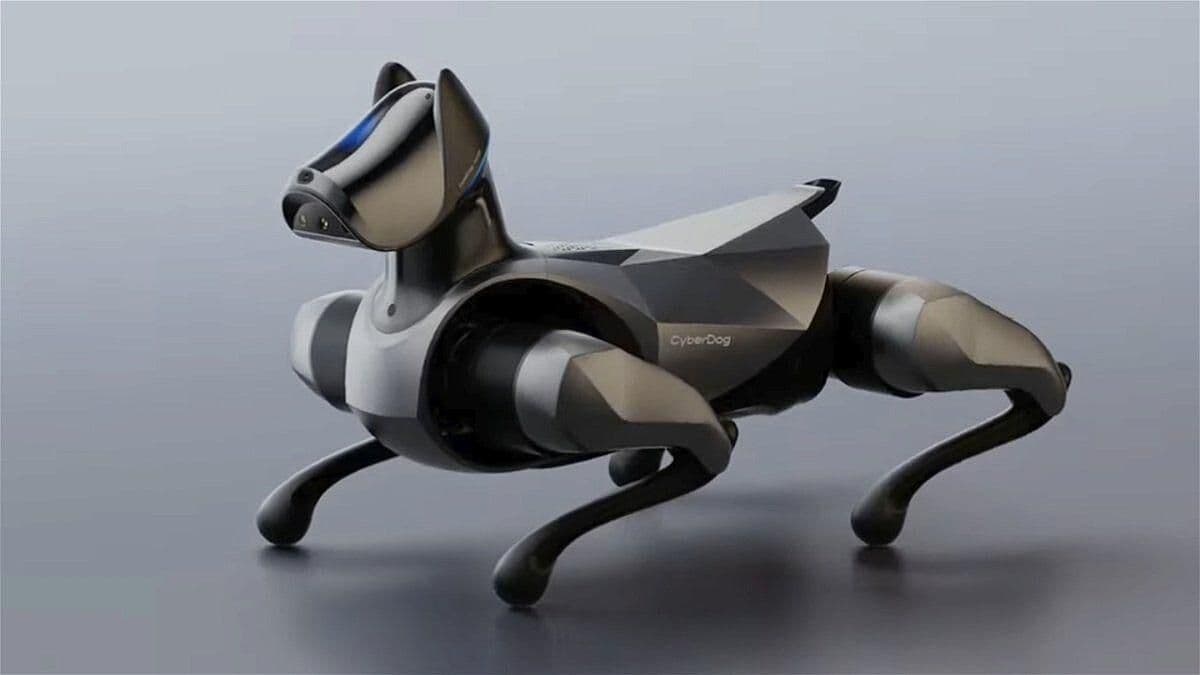 De Perros a Baristas: Así Fue la Conferencia Mundial de Robots 2023 en Beijing