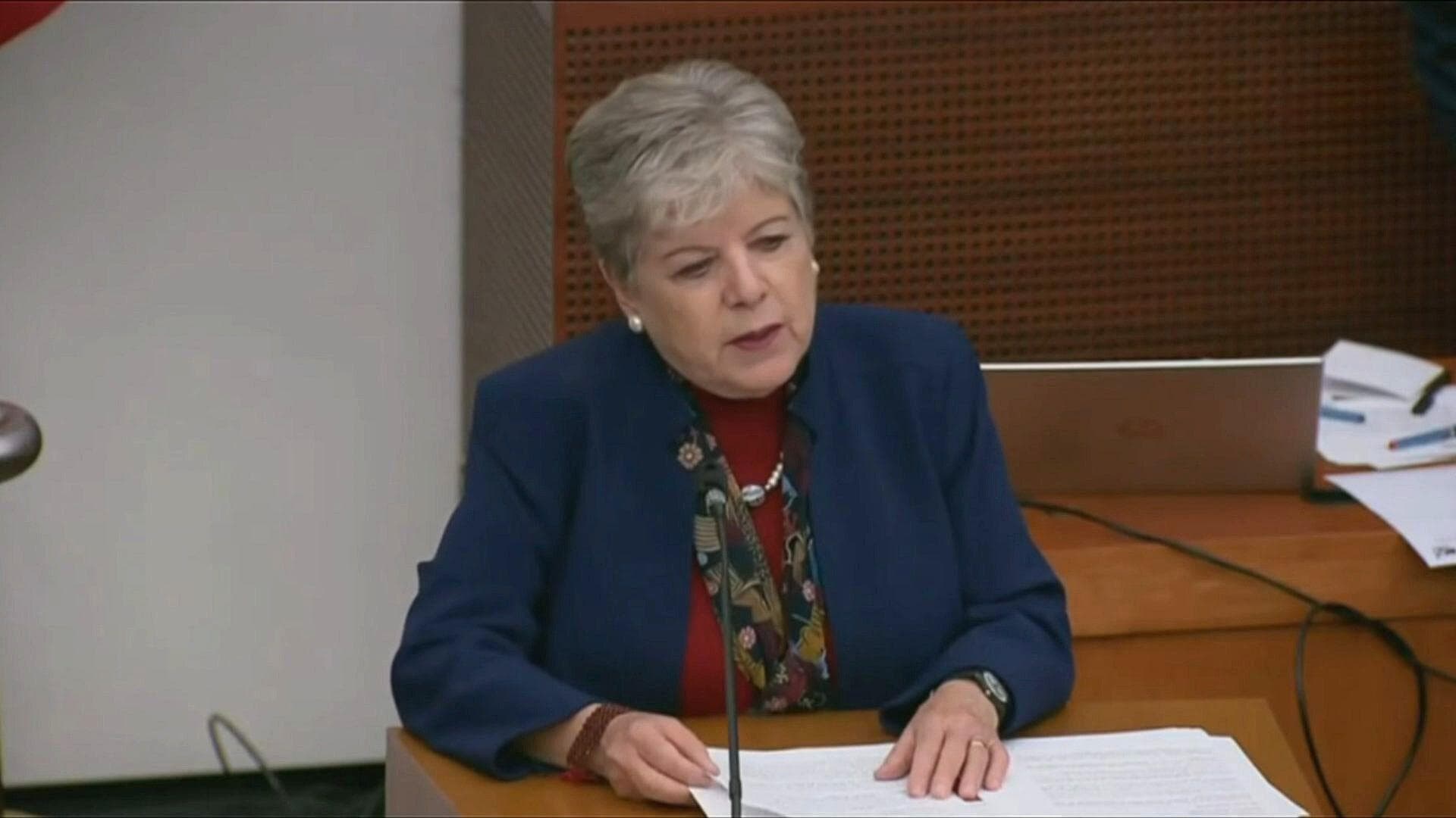 Alicia Bárcena Pide Ayuda para Combatir Tala Ilegal en México: "Tenemos Problemas Severos"