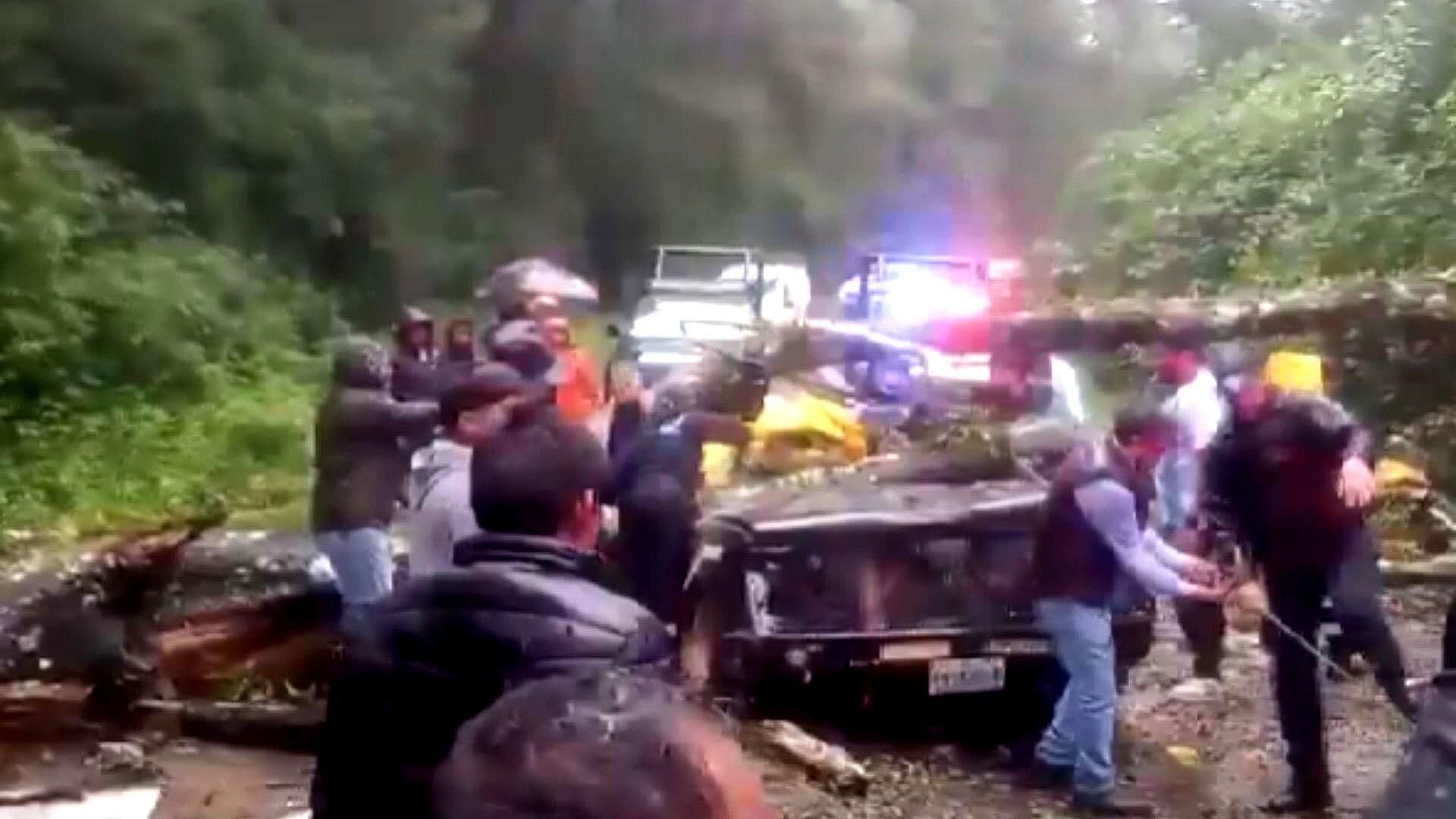 Enorme Árbol Cae sobre Camioneta luego de Fuertes Lluvias en la México-Tuxpan
