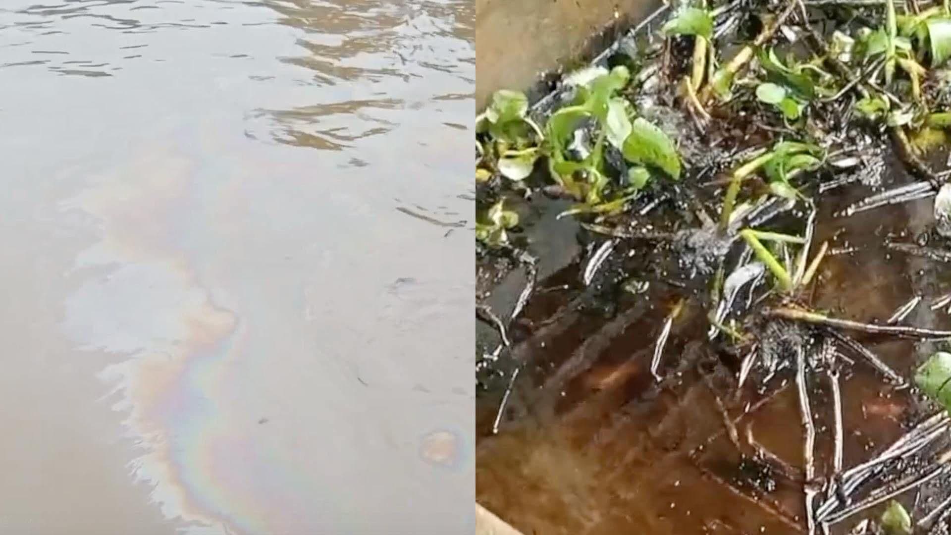 Se Registran Restos de Hidrocarburo en el Río Coatzacoalcos por Quinta Vez en el Año