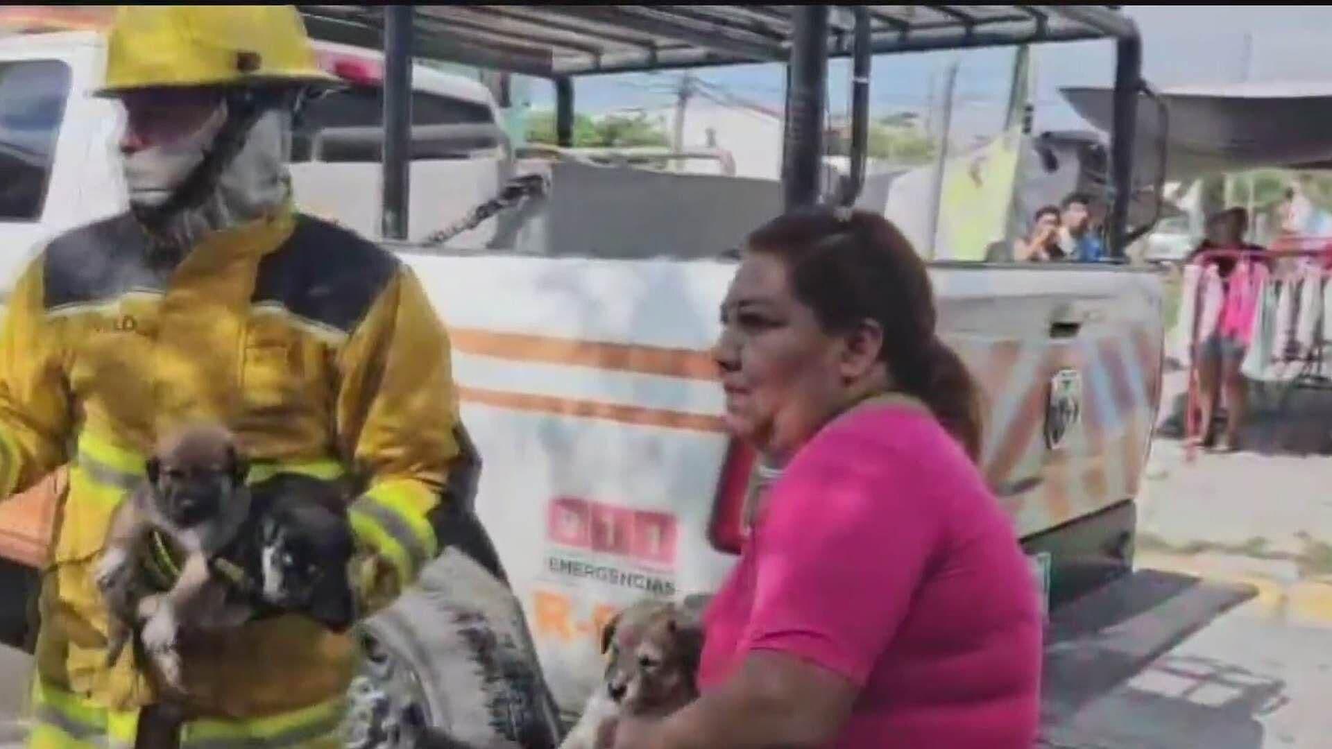 Video