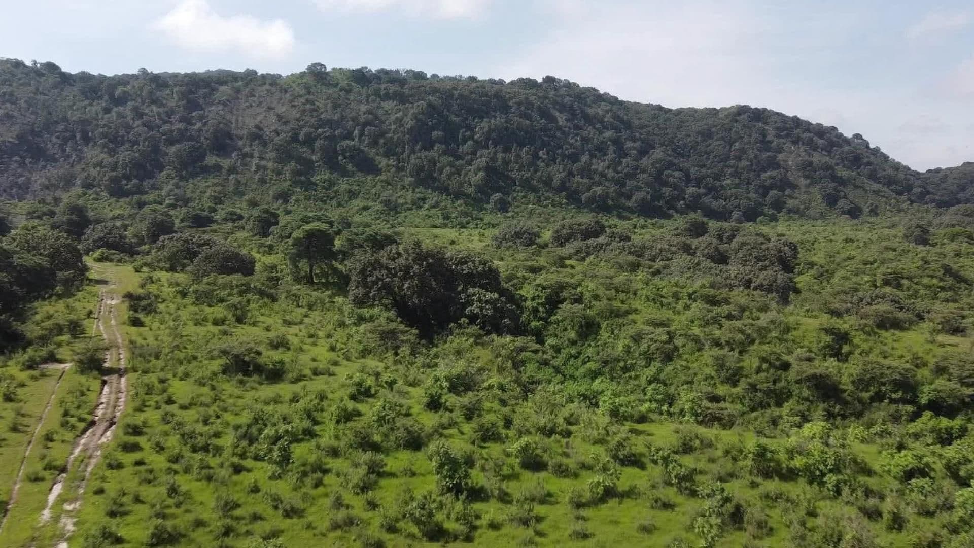Buscan que Bosque La Primavera sea Reconocido por la UNESCO como Geoparque Mundial