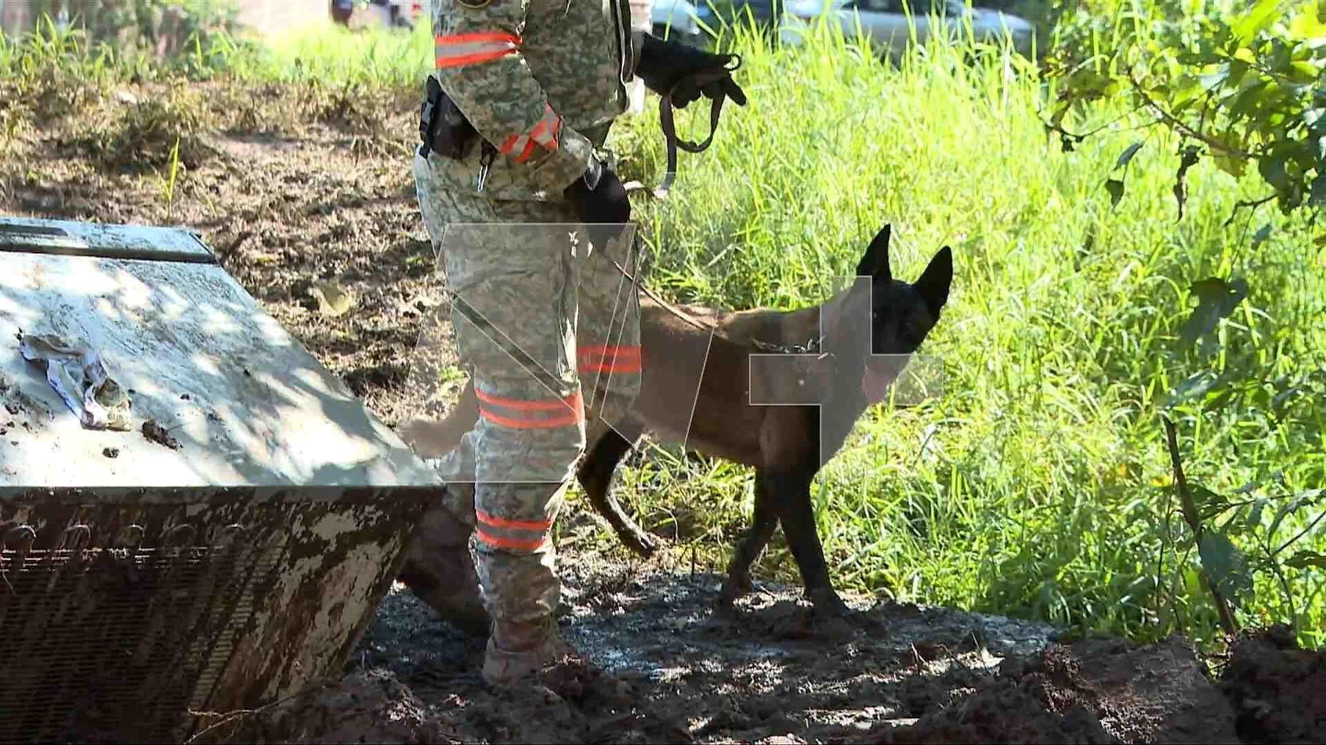 Reanudan Búsqueda de Liam Tadeo, Niño Desaparecido Tras Inundaciones en Huauchinango