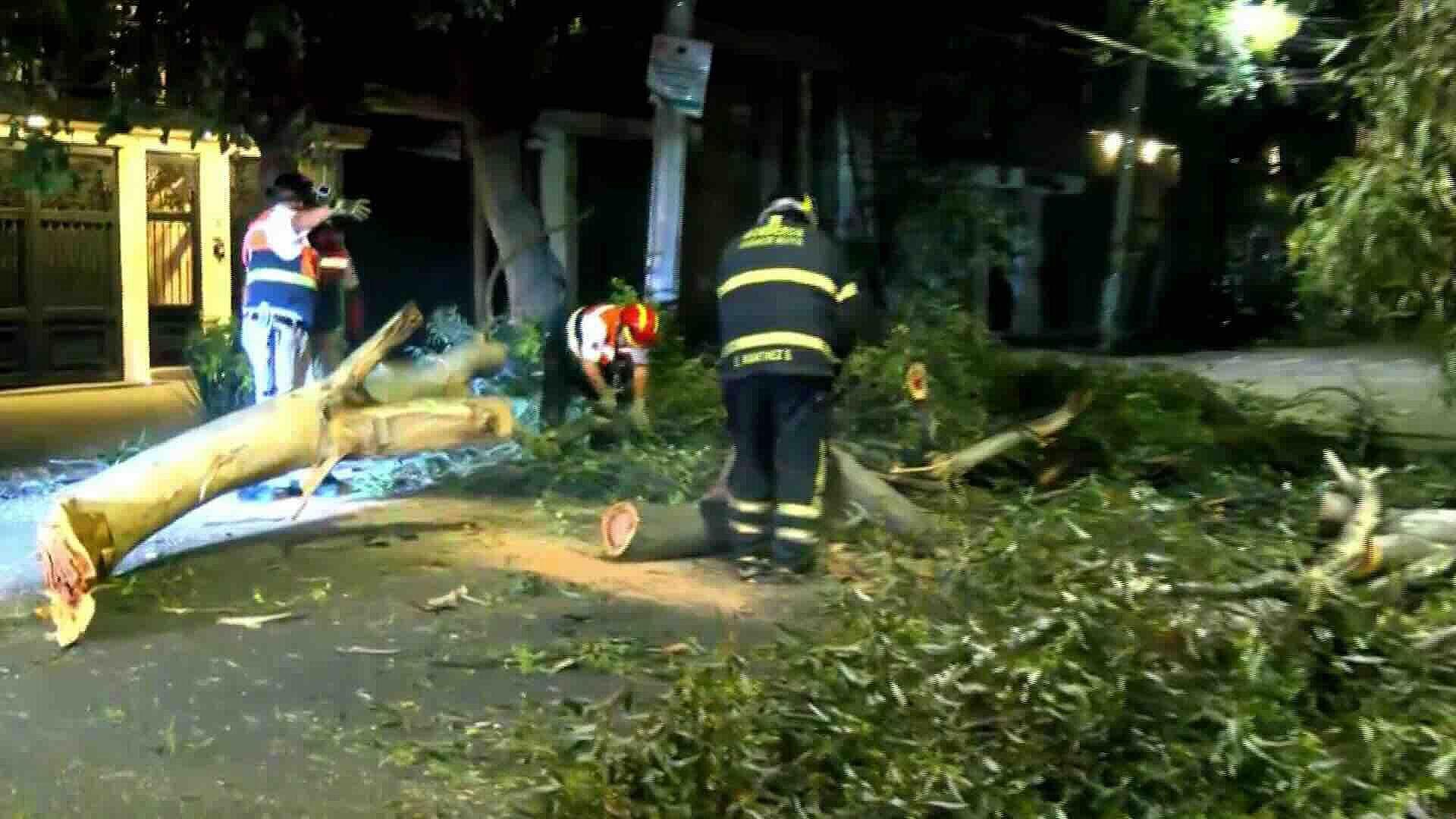 Rama Cae en Colonia Hipódromo de CDMX y Provoca Movilización Urbana