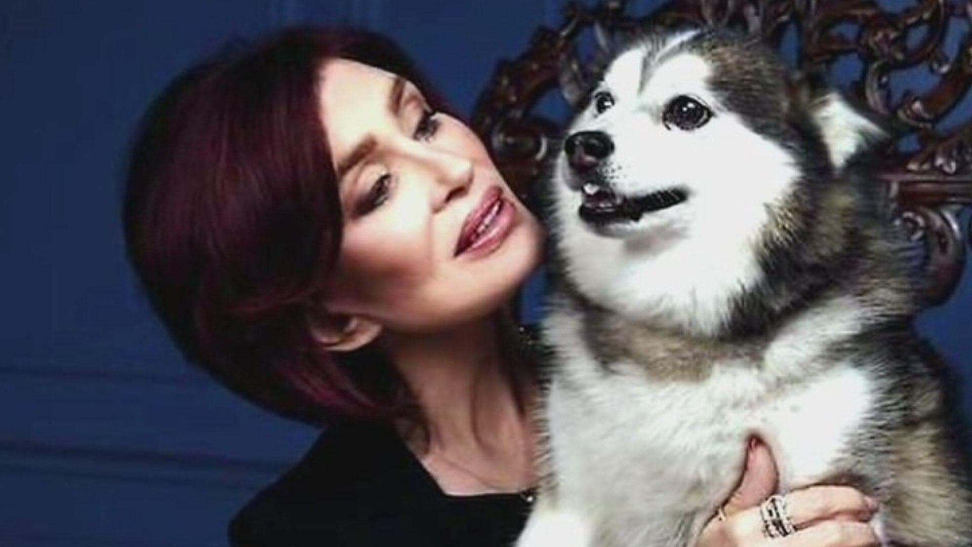 Muere Elvis, el Perrito del Cantante Ozzy Osbourne