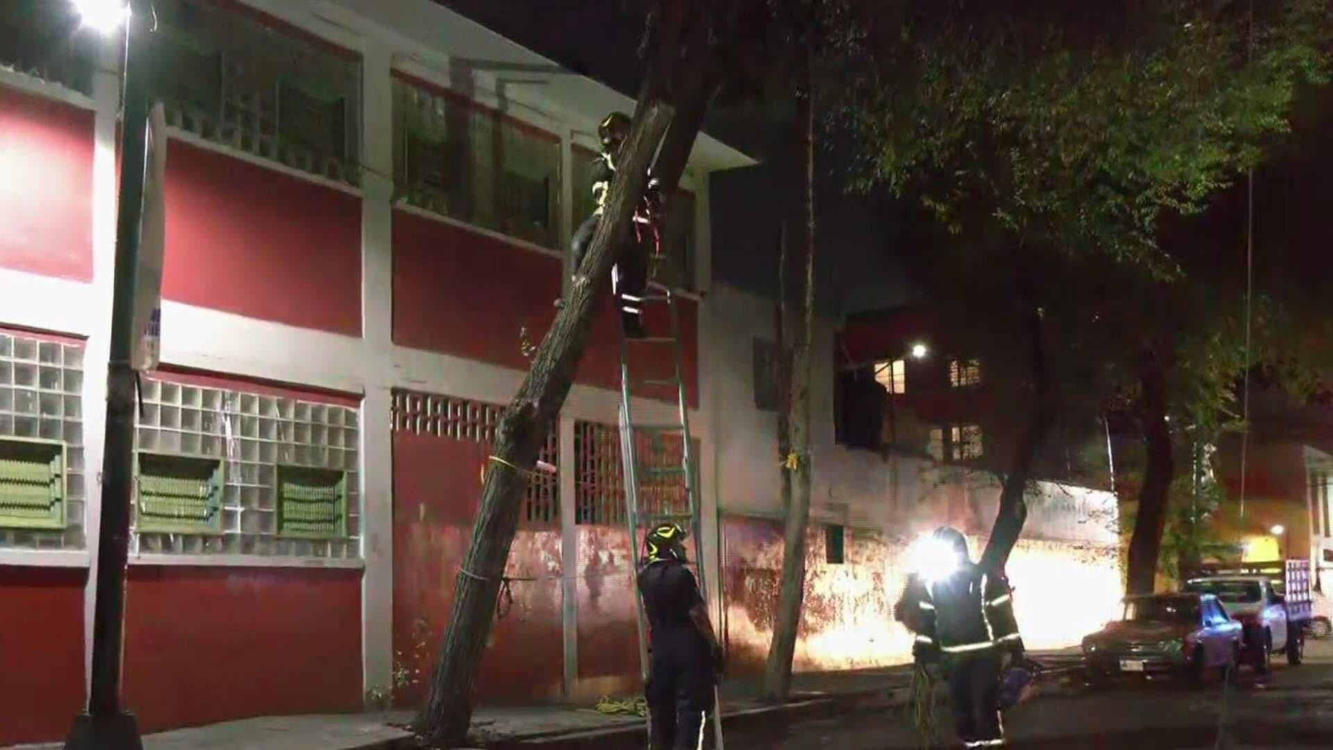Bomberos Atienden Árbol a Punto de Caer en la Colonia Peralvillo, CDMX