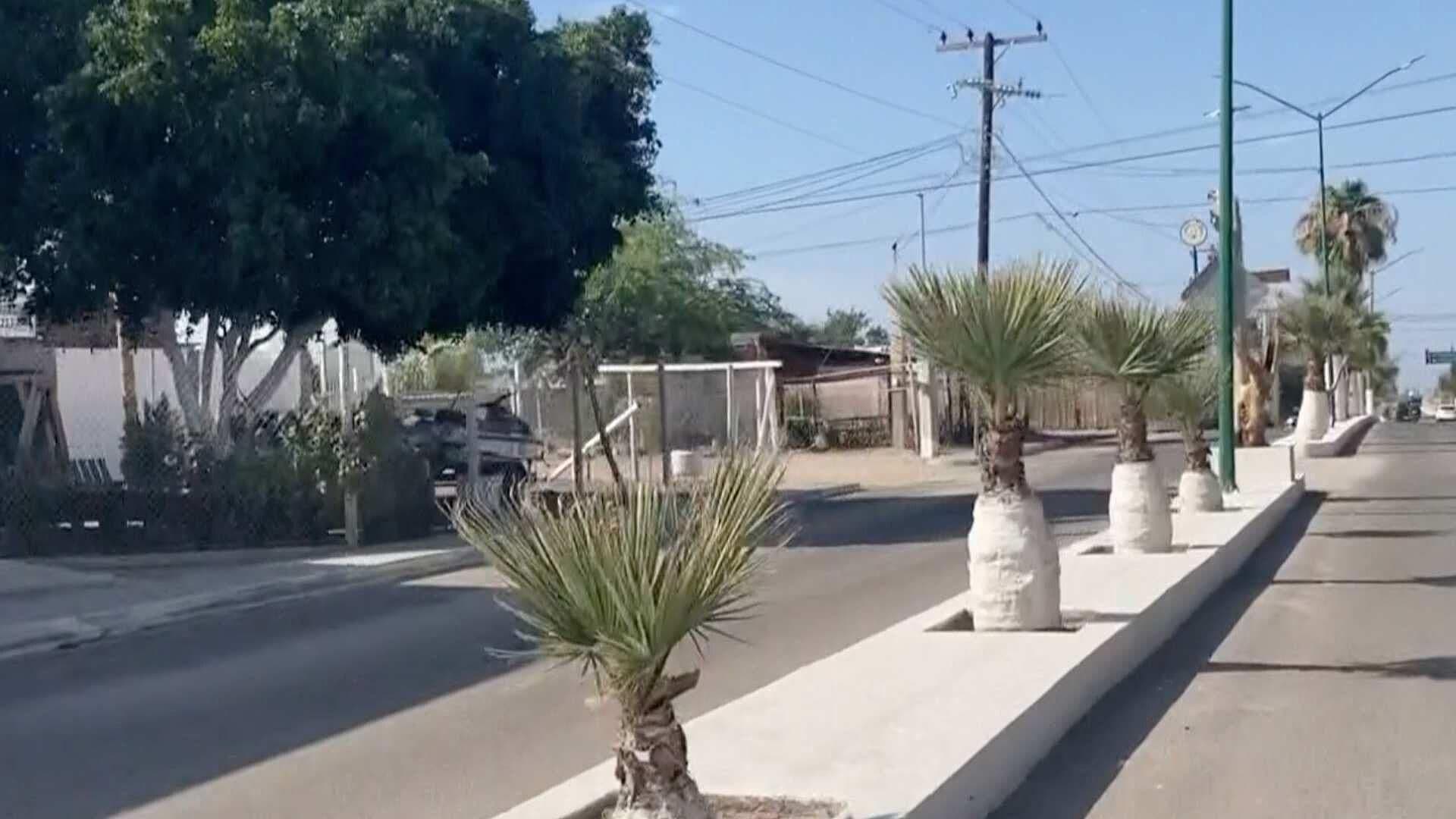 Encuentran a Hombre Asesinado a Apuñaladas en Bahía de Kino, Municipio de Hermosillo