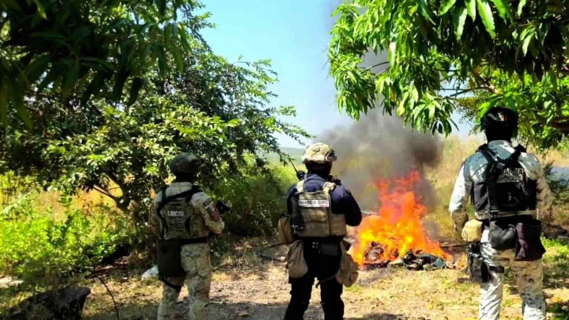 Incineran Cuatro Campamentos Clandestinos en Buenavista, Michoacán, Presuntamente del Crimen