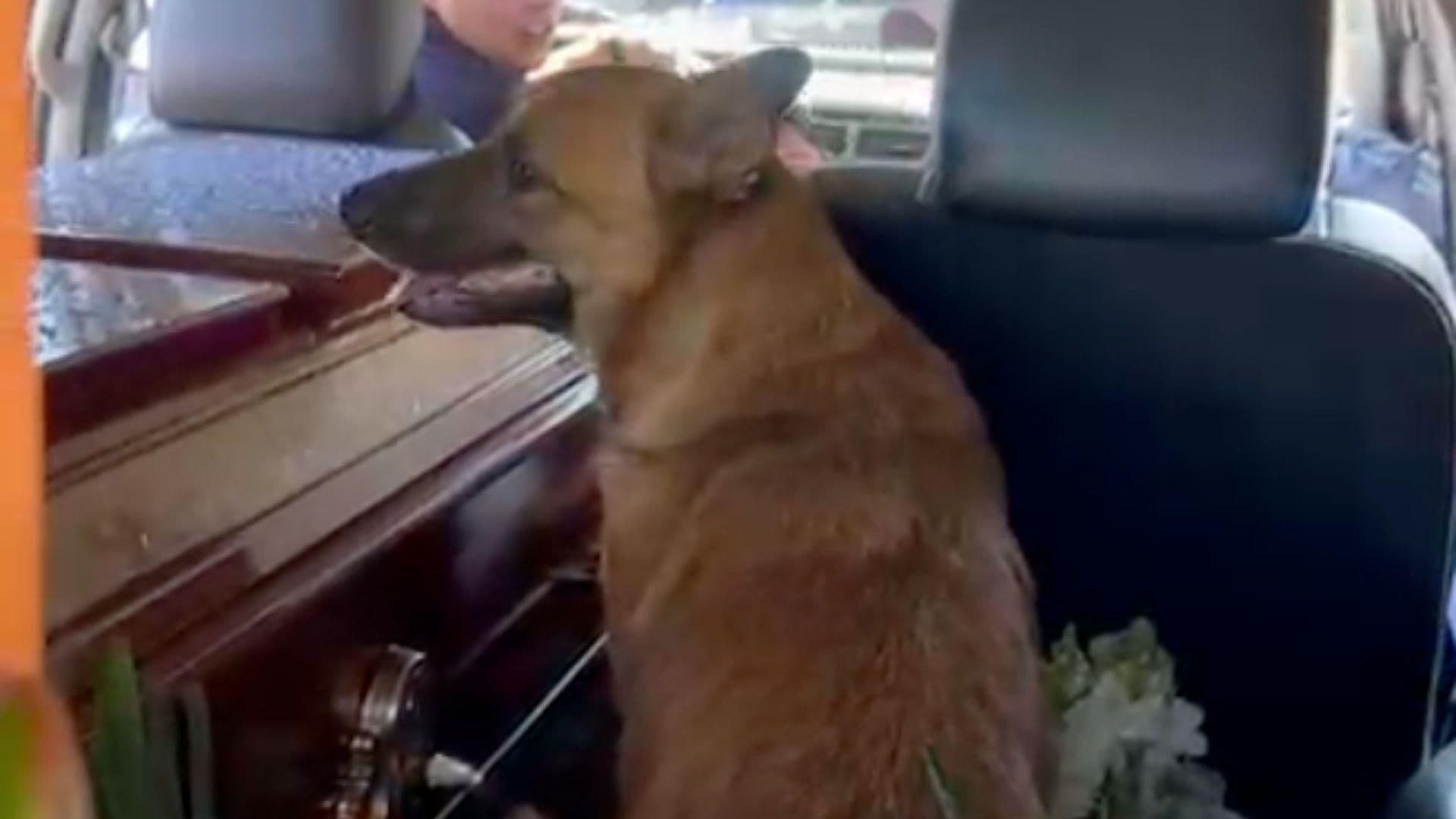 Cortejo Fúnebre de Erick Omar en CDMX: Su Perro lo Acompaña Hasta el Panteón