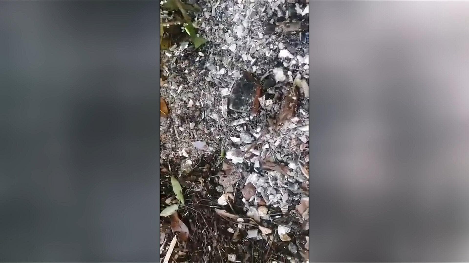 Así Hallaron 16 Cuerpos en "Cementerio" Clandestino en Puerto Morelos, Quintana Roo