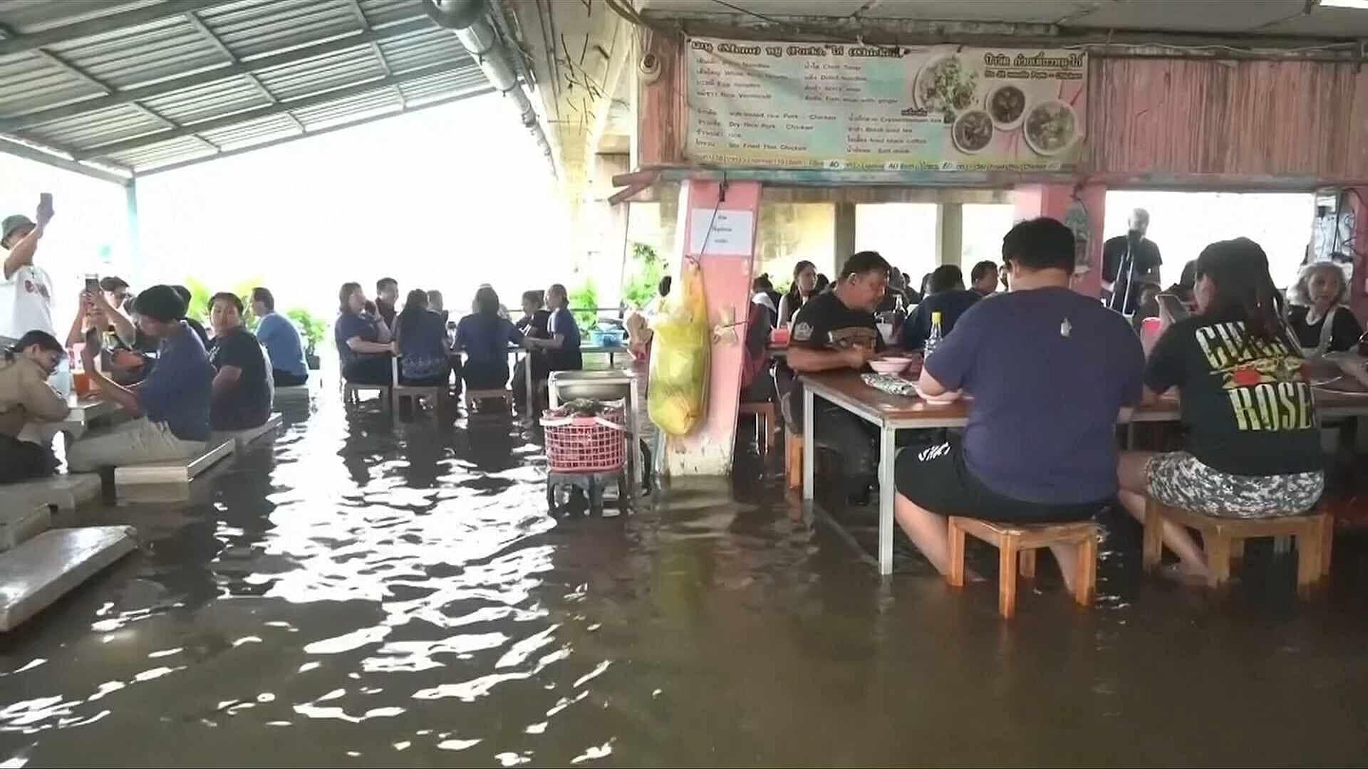 Restaurante Inundado se Vuelve Viral por Interacción con Peces en Tailandia