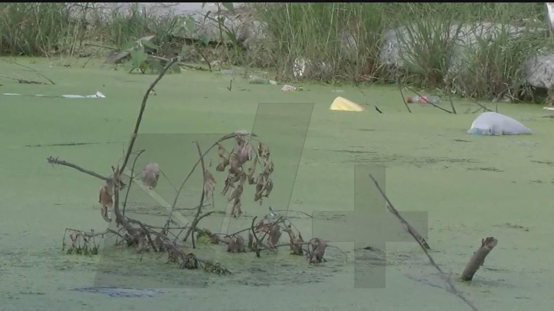 Familias Tienen de "Vecino" Lago Verde en Juárez, NL