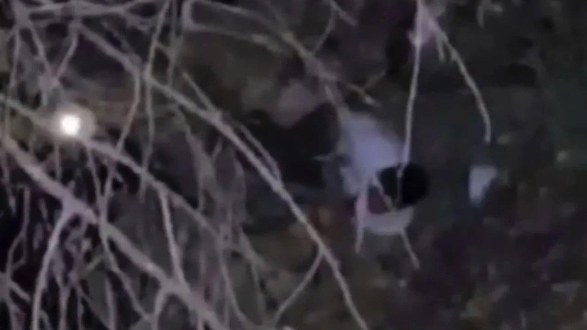 Hombre Cae a un Barranco Cuando Regresaba de un Convivio en Guanajuato Capital