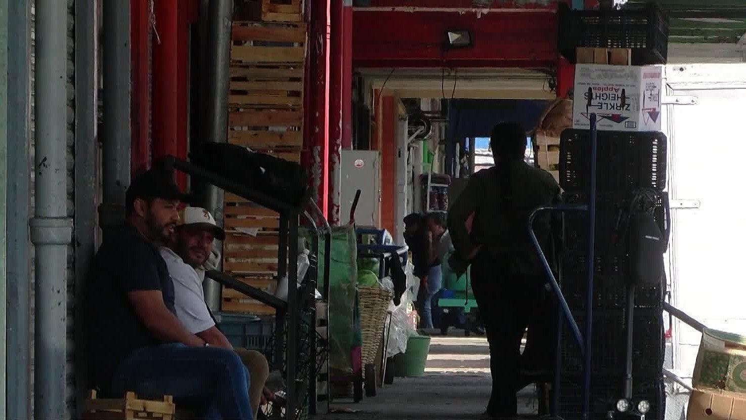 Descargadores del Mercado de Abastos en Guadalajara Trabajan Más de 8 Horas y Sin Seguro