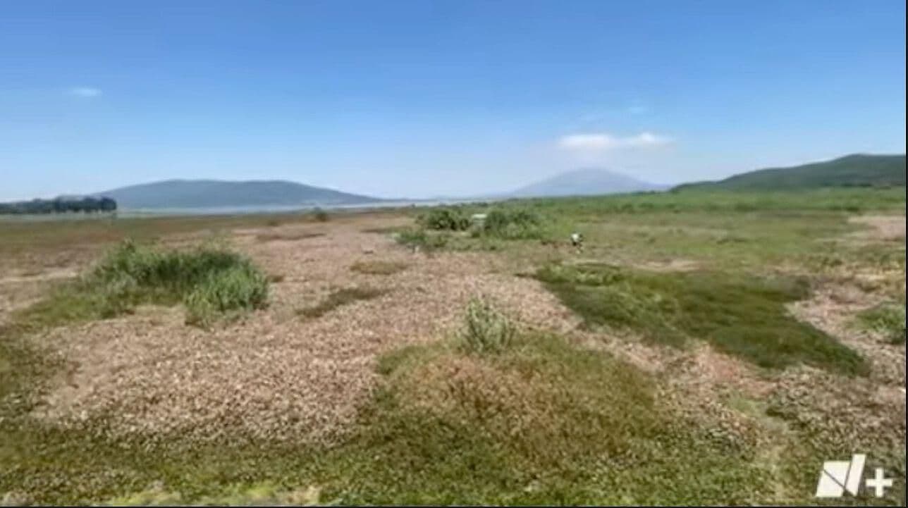 Laguna de Yuriria Presenta un 16% de Agua, Afectando a los Habitantes del Municipio