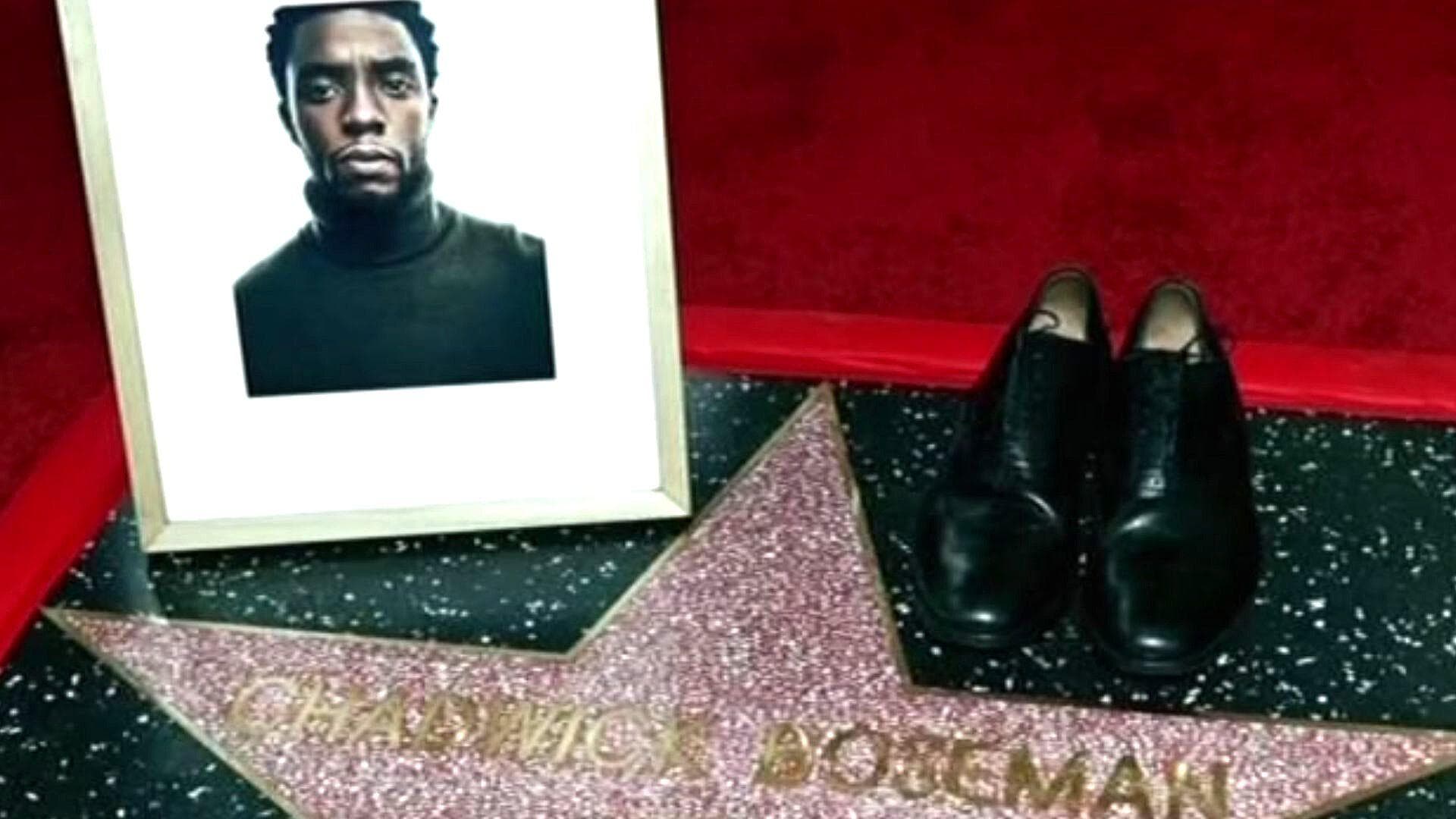 Chadwick Boseman Recibe Estrella Póstuma en el Paseo de la Fama en Hollywood