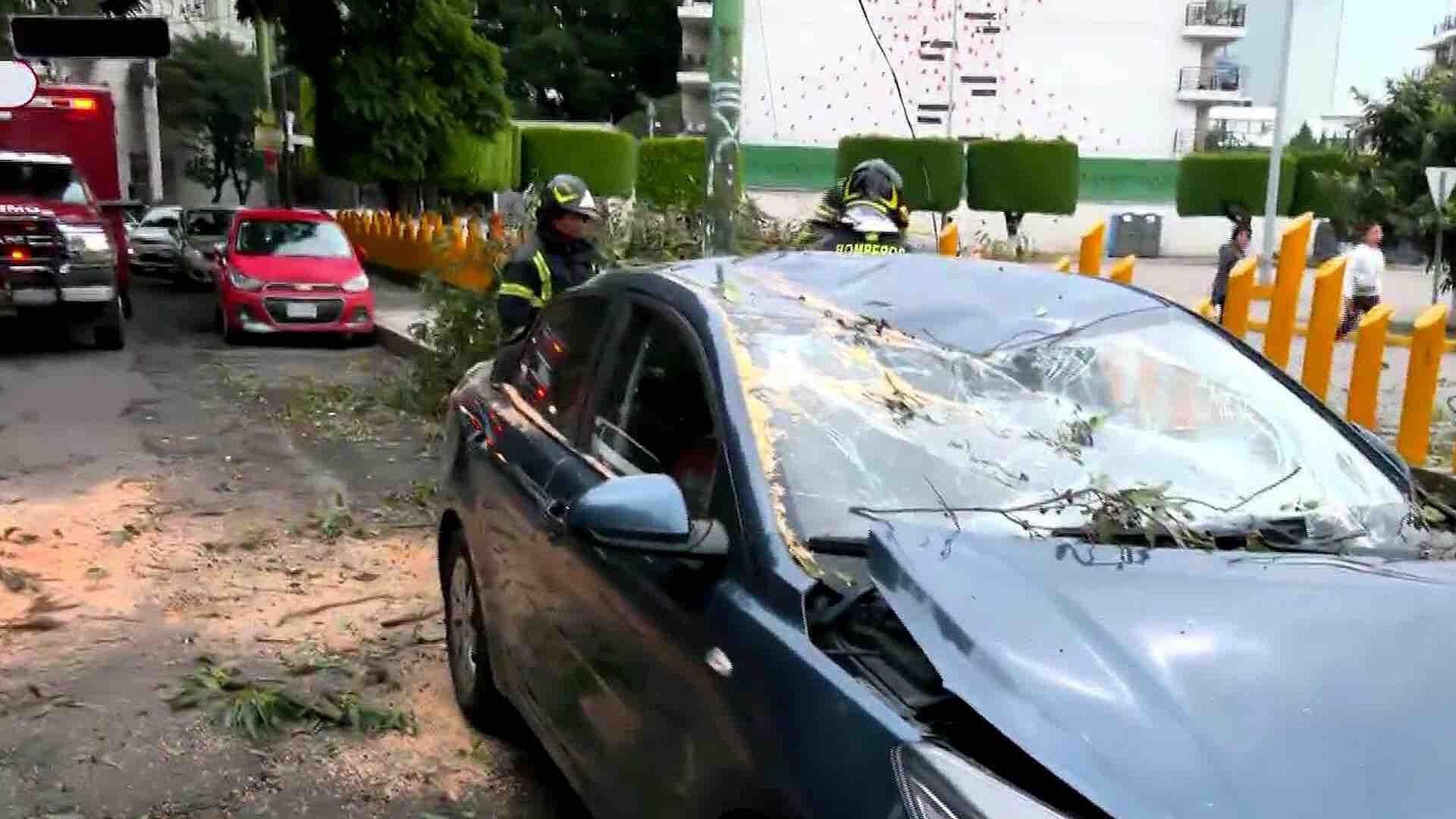 Rama de Árbol Cae Sobre Vehículo Estacionado en Colonia Santa Cruz Atoyac, CDMX