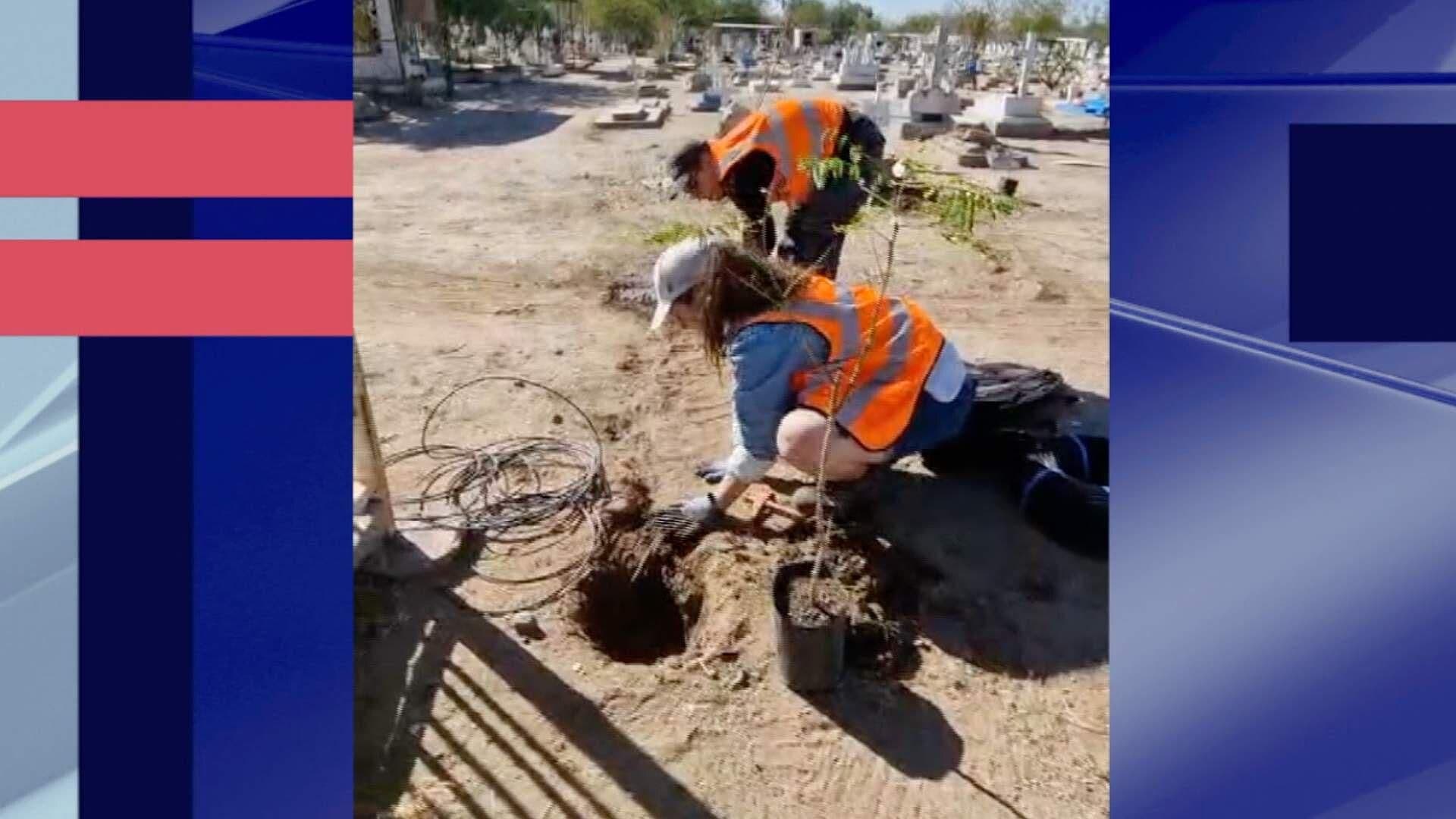 Caminantes del Desierto Inician Campaña de Reforestación en Hermosillo