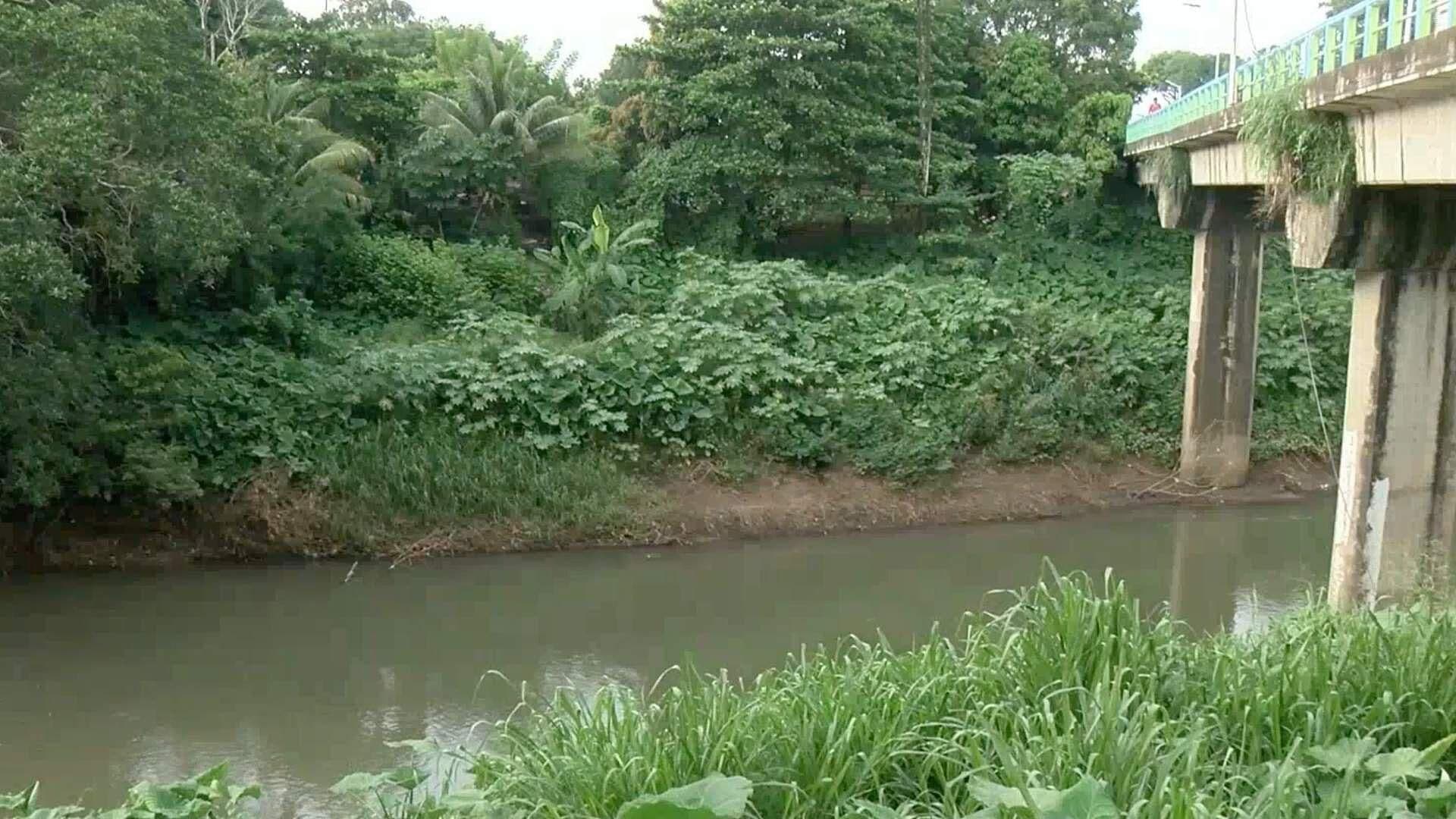 Monitorean Niveles del Río Jamapa por Temporada de Lluvias