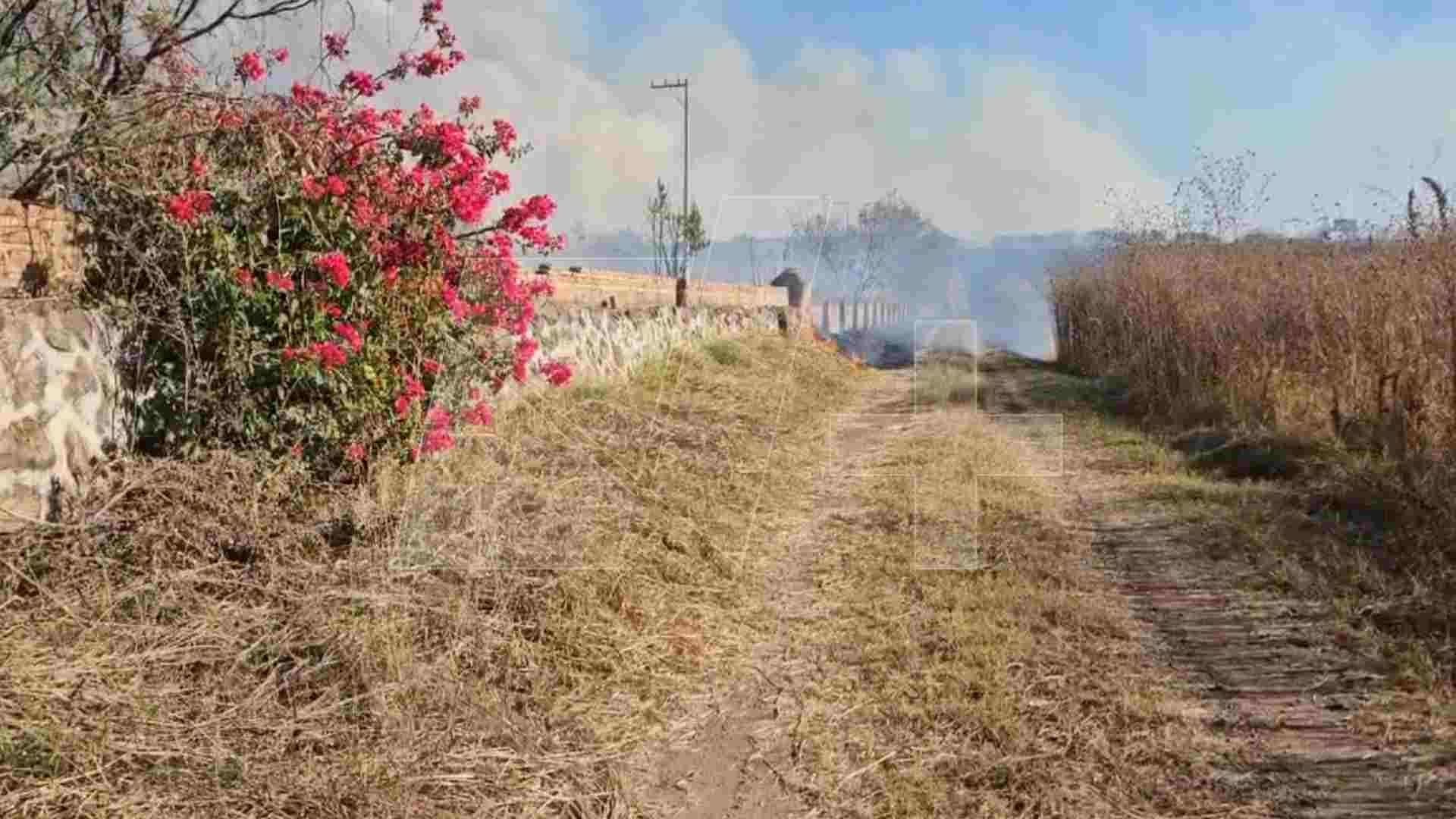 Se Registra un Incendio en el Bosque La Primavera que Deja Pérdidas Millonarias