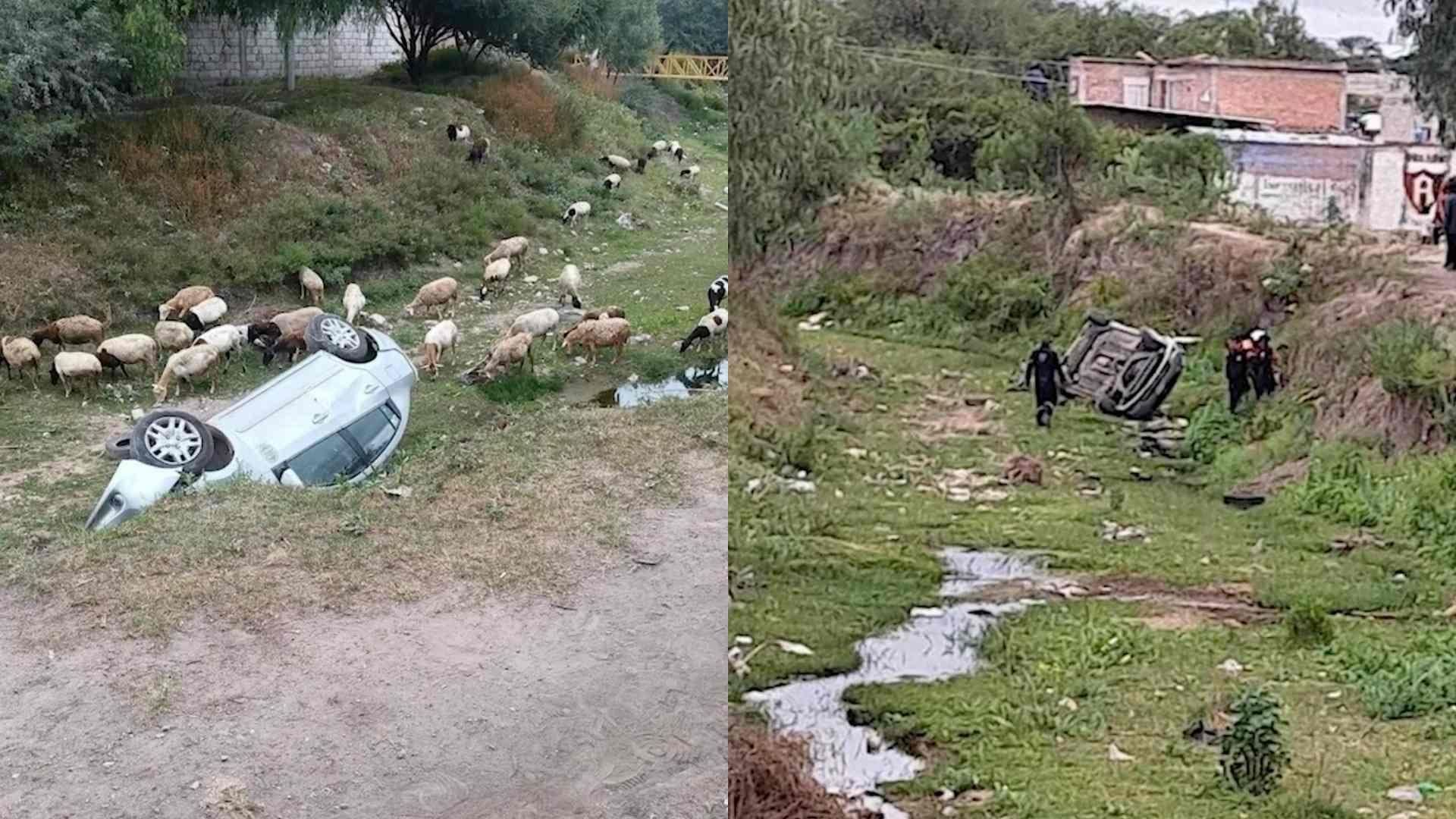 Conductor de un Vehículo Perdió el Control y Volcó en un Arroyo en Santa Cruz, El Marqués