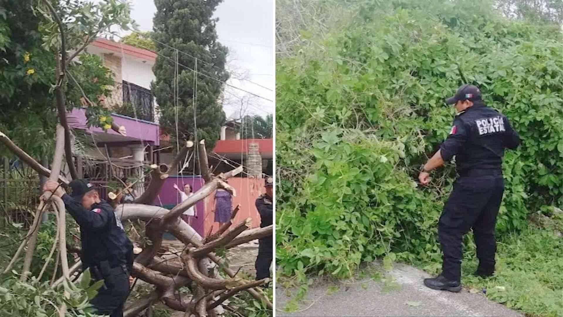 Acciones de Apoyo de Seguridad en Celestún Tras Paso del Huracán "Milton"