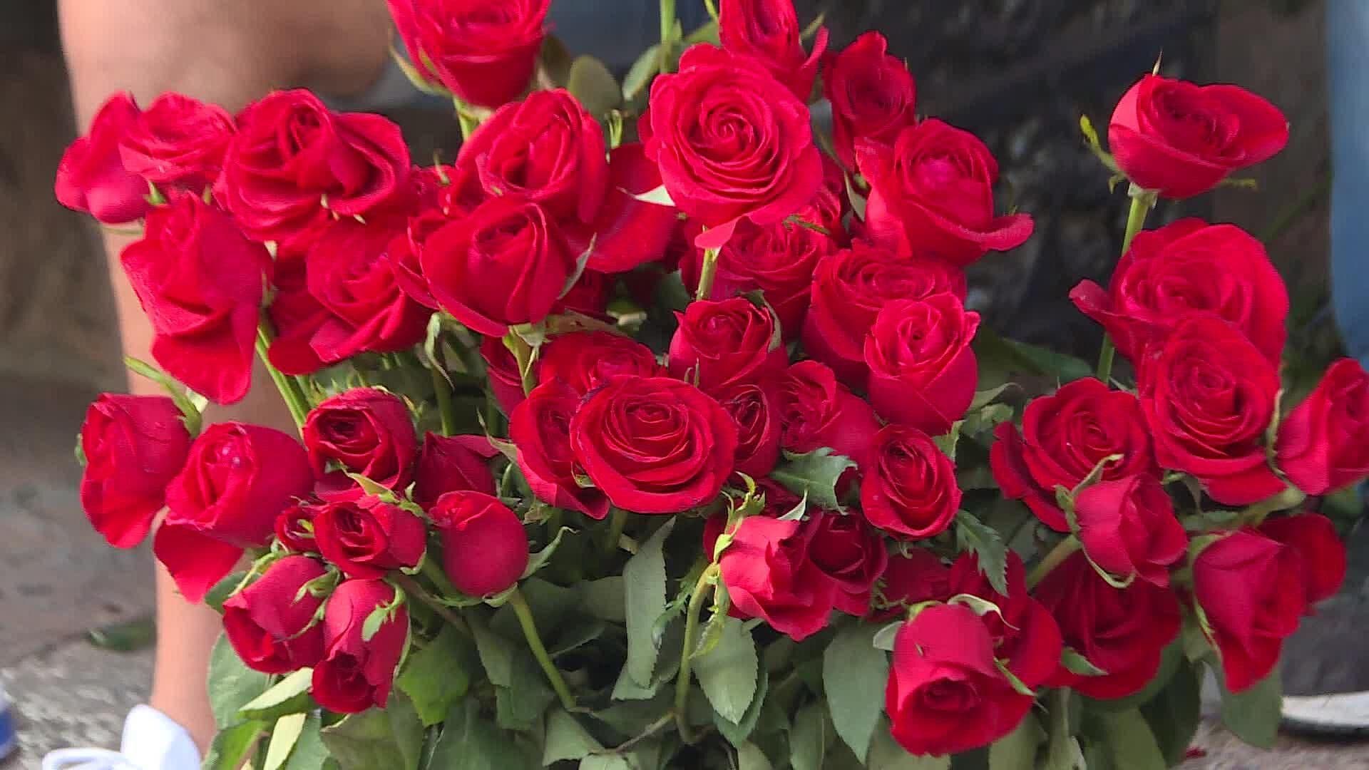 Así se vivió el Combate de Rosas en en León