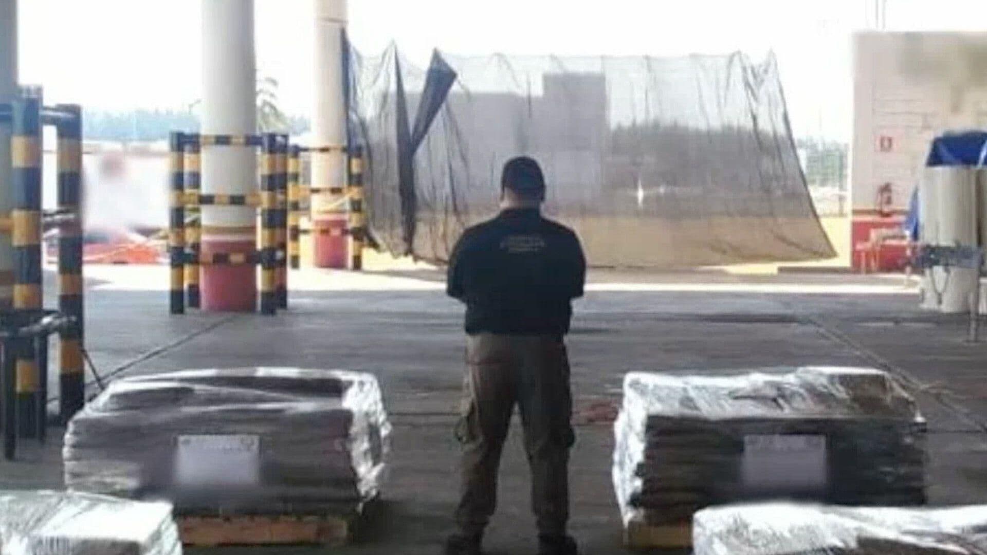 Decomisan Más de 700 Kilos de Marihuana en la Aduana del Puerto de Veracruz