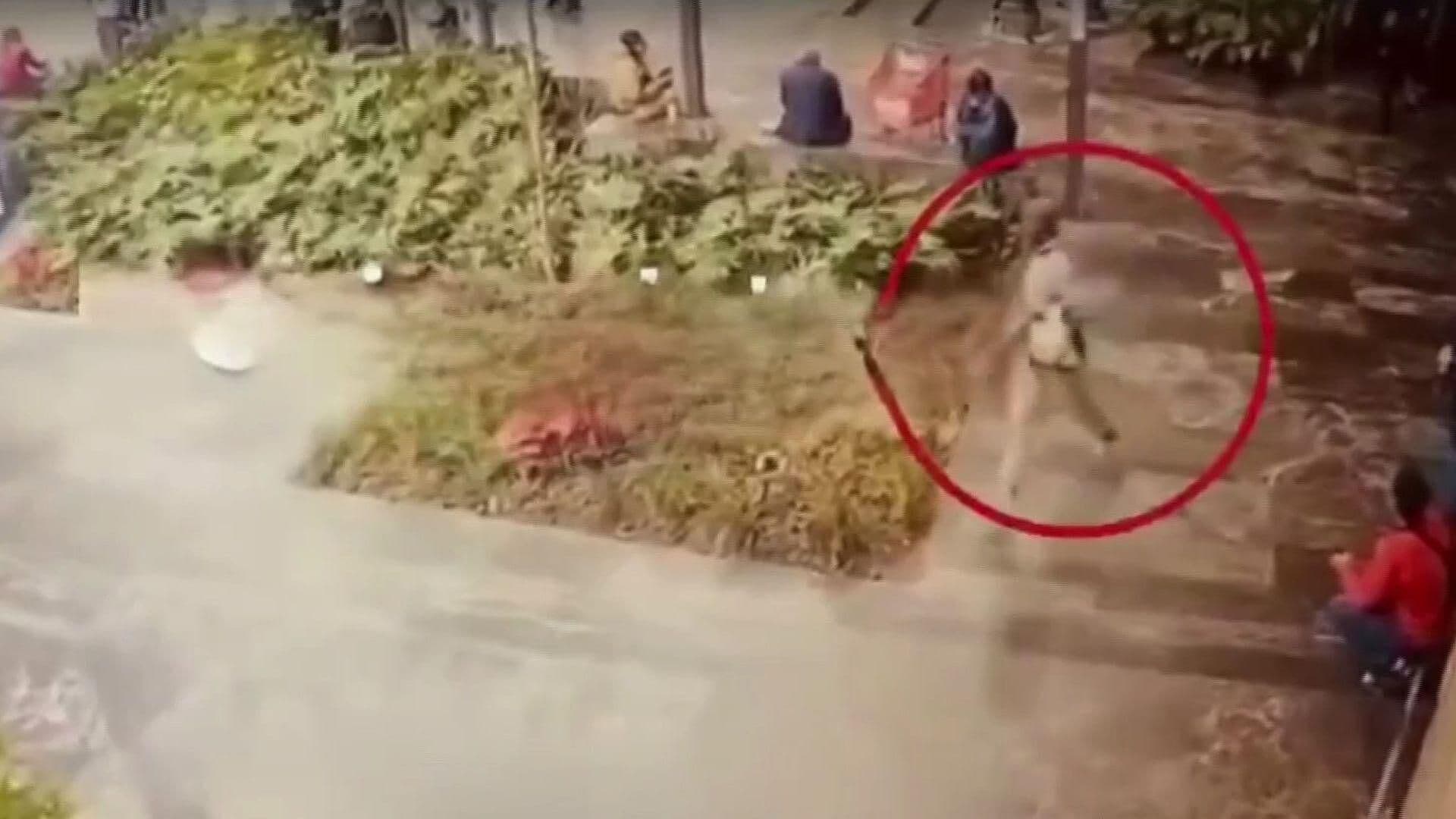 VIDEO: Así Huyeron los Asesinos de un Hombre en Plaza Miyana en Polanco