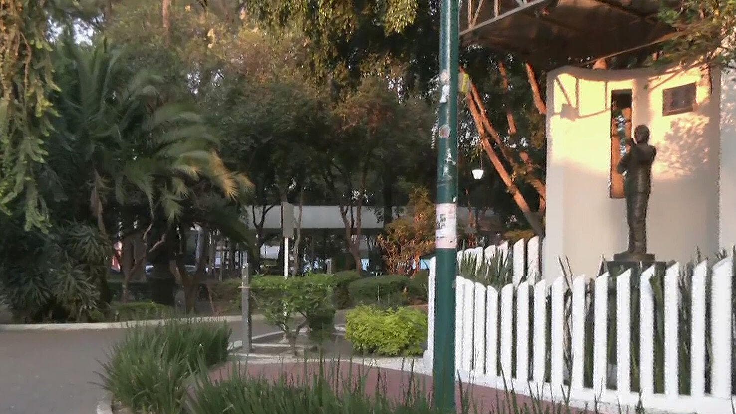 Hallan Gatos y Cacomixtles Muertos en Colonia Clavería, CDMX; Vecinos Denuncian Envenenamientos