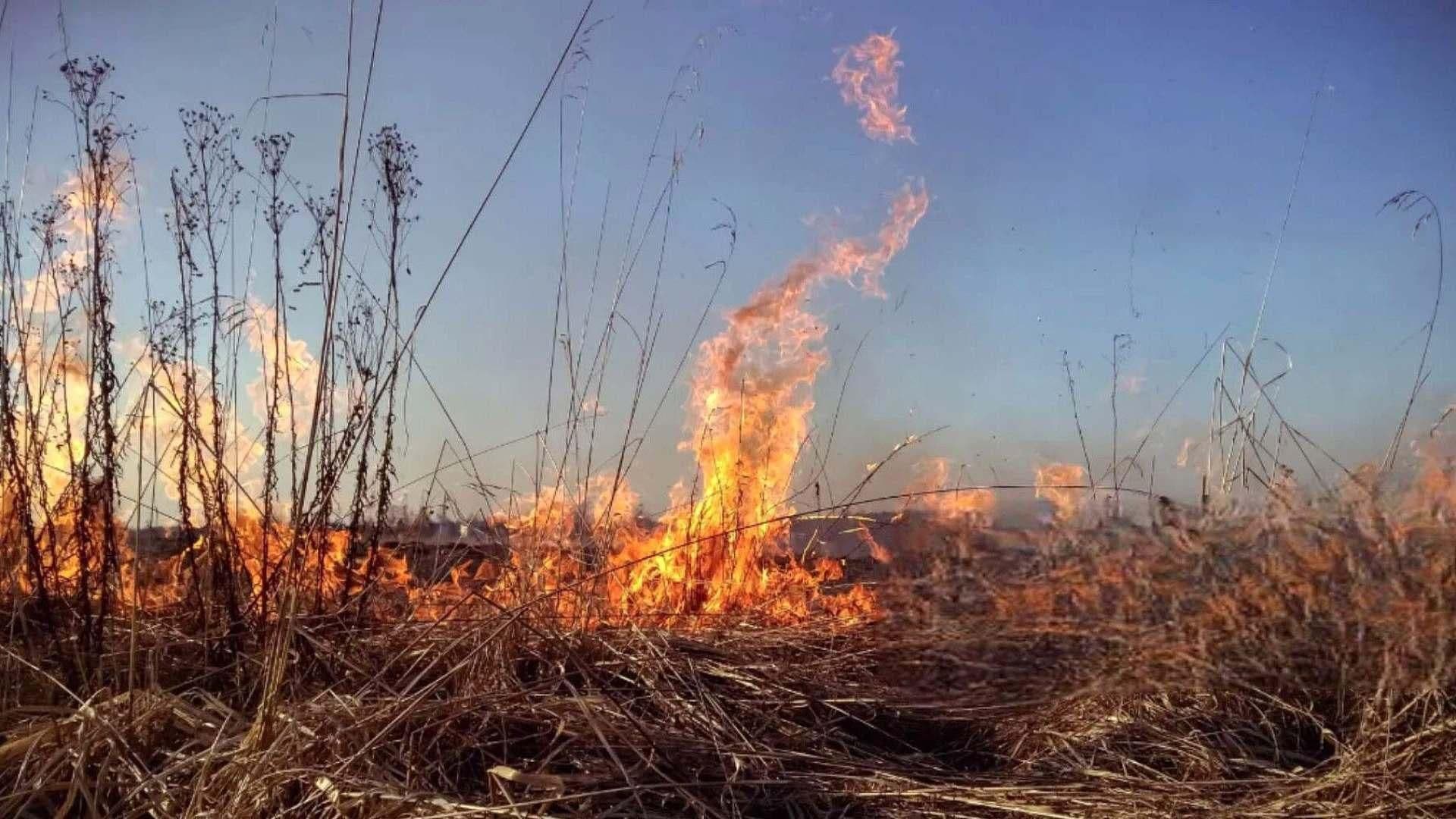 Reportan Incendio en Zona de Pastizales en Zinacantepec, Edomex