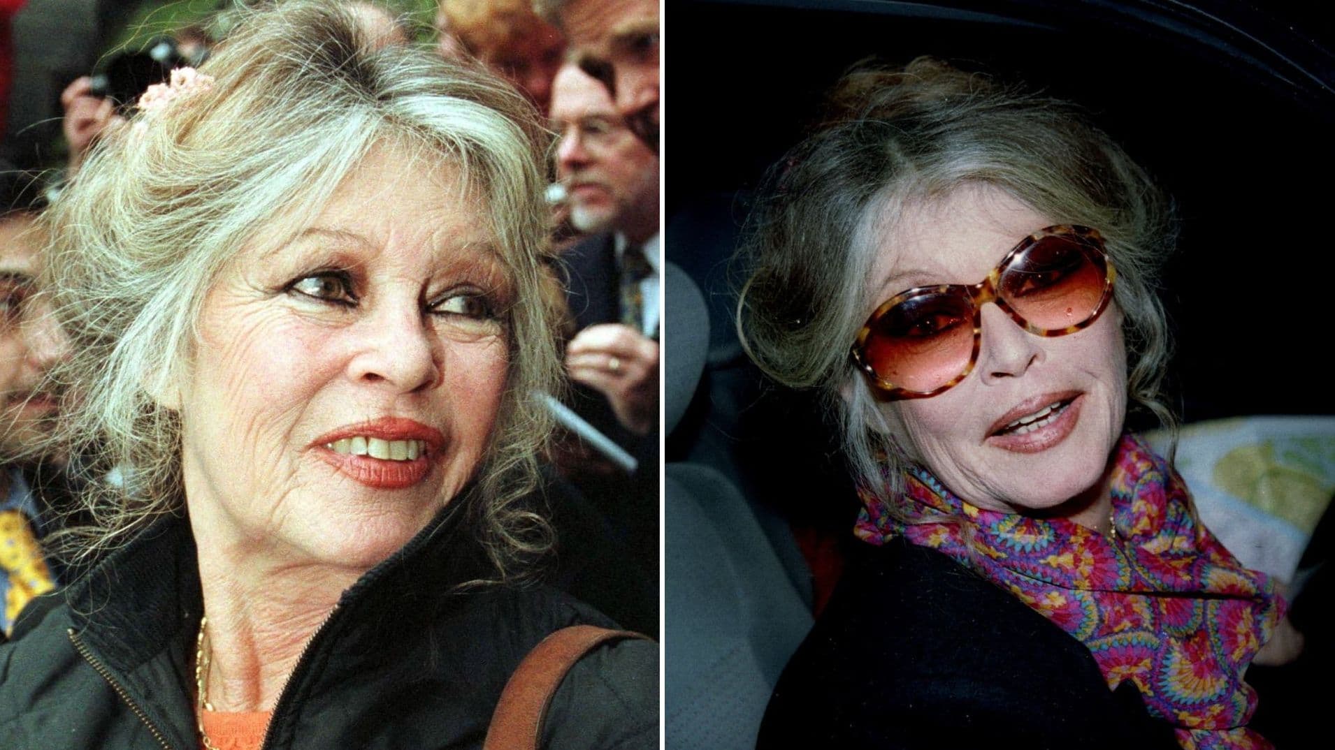 ¿De Qué Murió Brigitte Bardot, Estrella de Cine Francés? Esto Era lo Que Hacía Antes de Fallecer