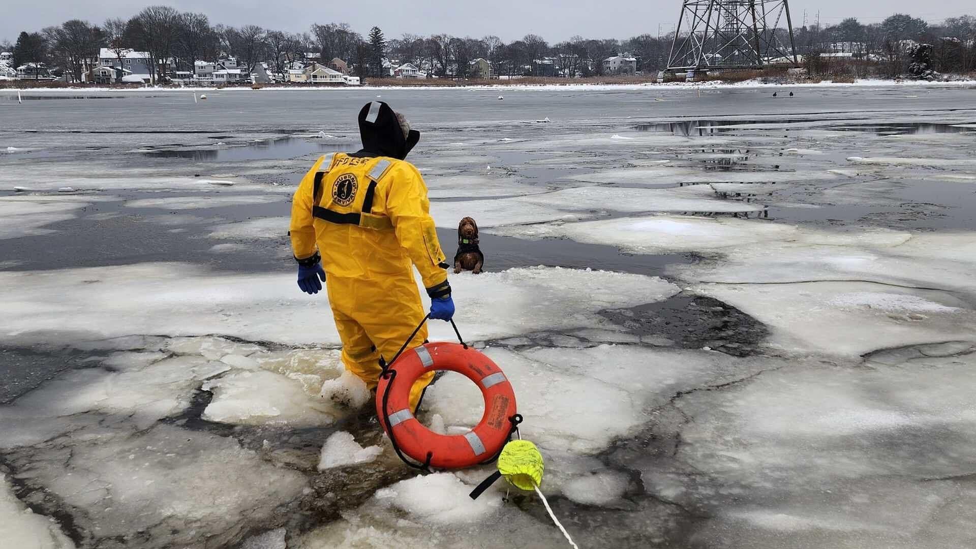 Salvan a Perrito Que Cayó en un Río Congelado en Massachusetts