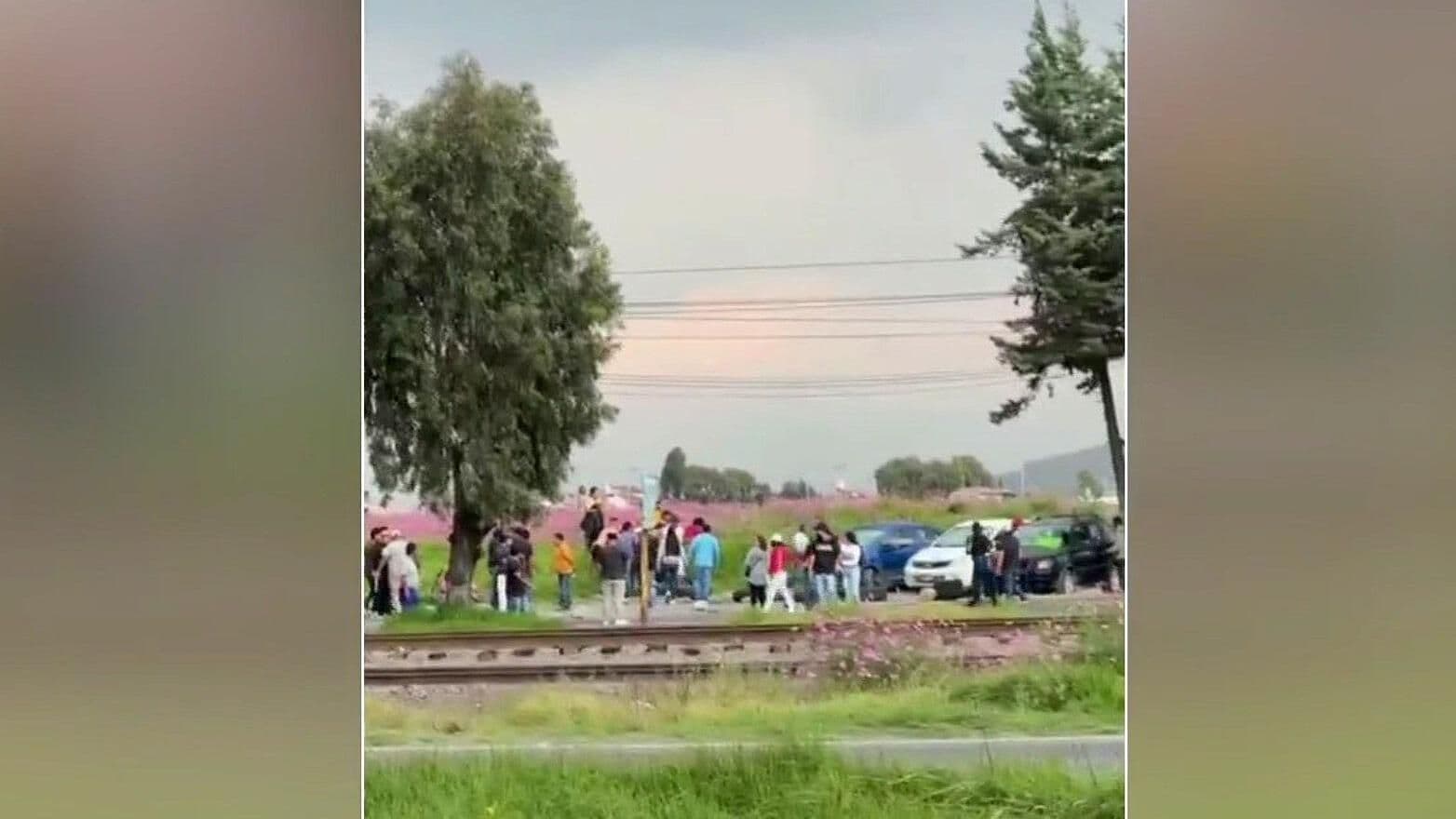 Joven Muere Atropellado en la Autopista Toluca–Palmillas