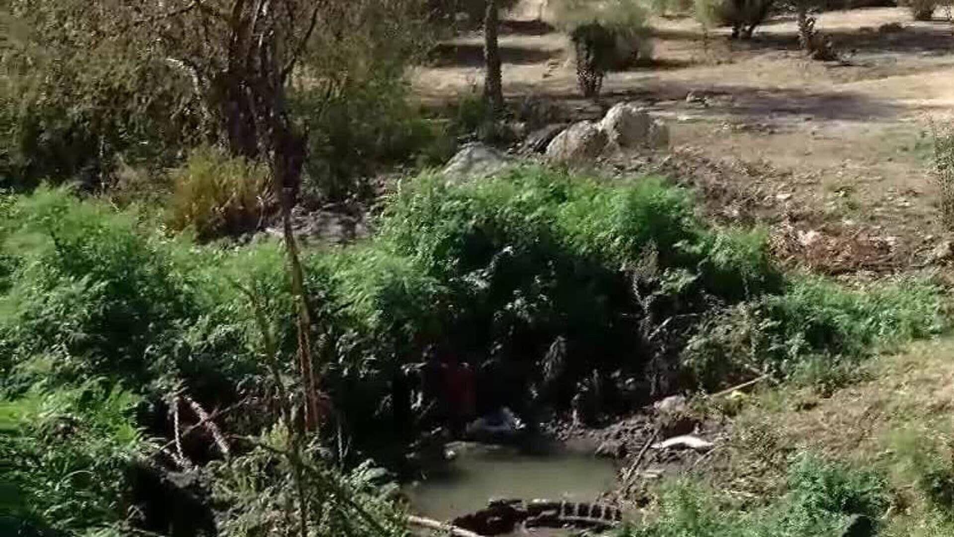 Reportan Fuga de Aguas Negras en Colonia Altares