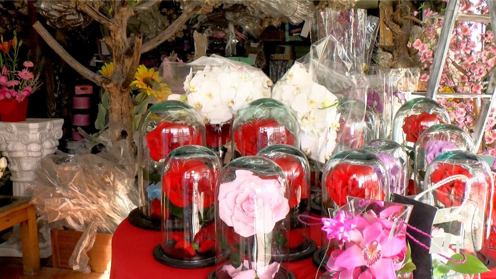 ¿Nuevas Generaciones Regalan Flores en San Valentín?