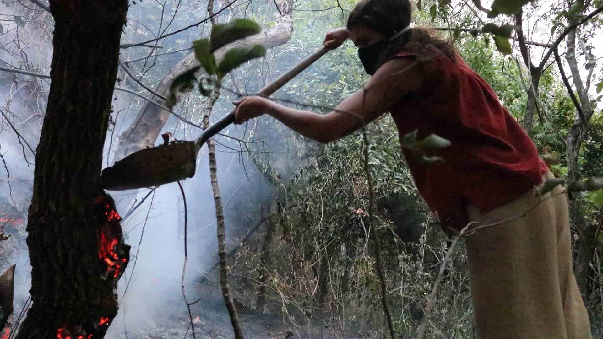 Por Cuarto Día Consecutivo Combaten Incendio Forestal en Cañón del Sumidero, Chiapas