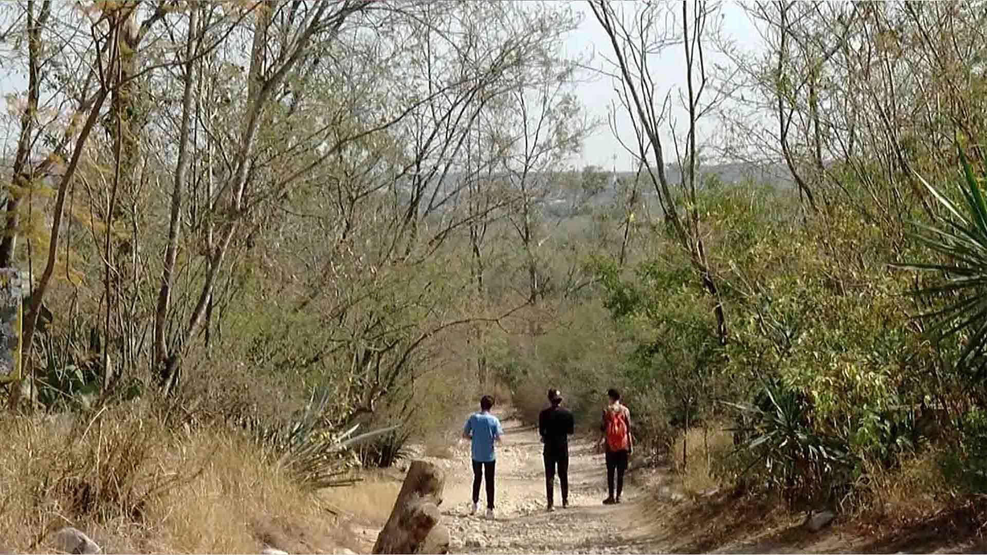 Conoce el Bosque Urbano: Pulmón de Ciudad Victoria