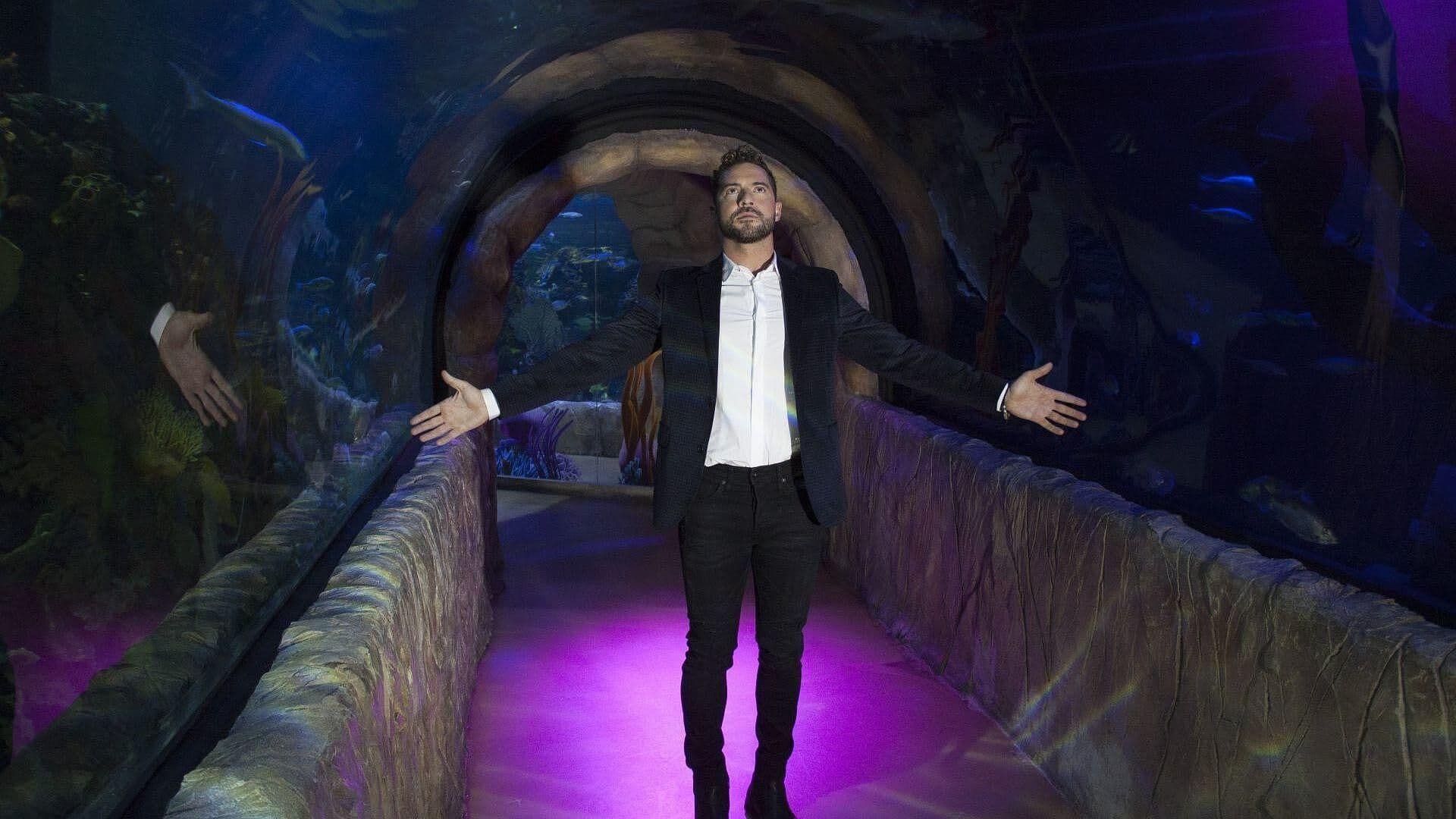 David Bisbal Celebra 20 Años de Carrera; Hará Dueto con Carlos Rivera