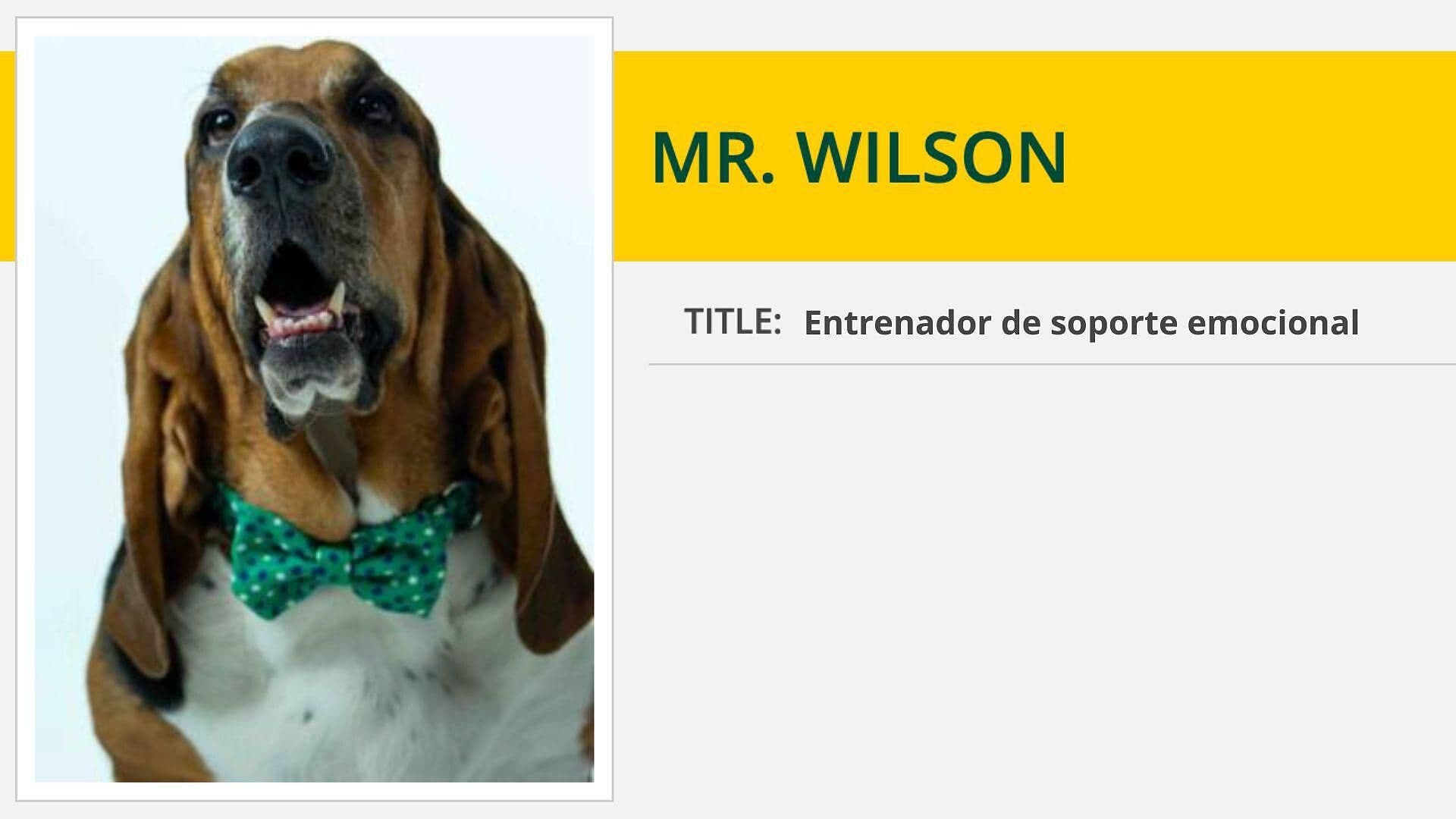 Perro es Nombrado Entrenador del Equipo de Softbol en Arkansas