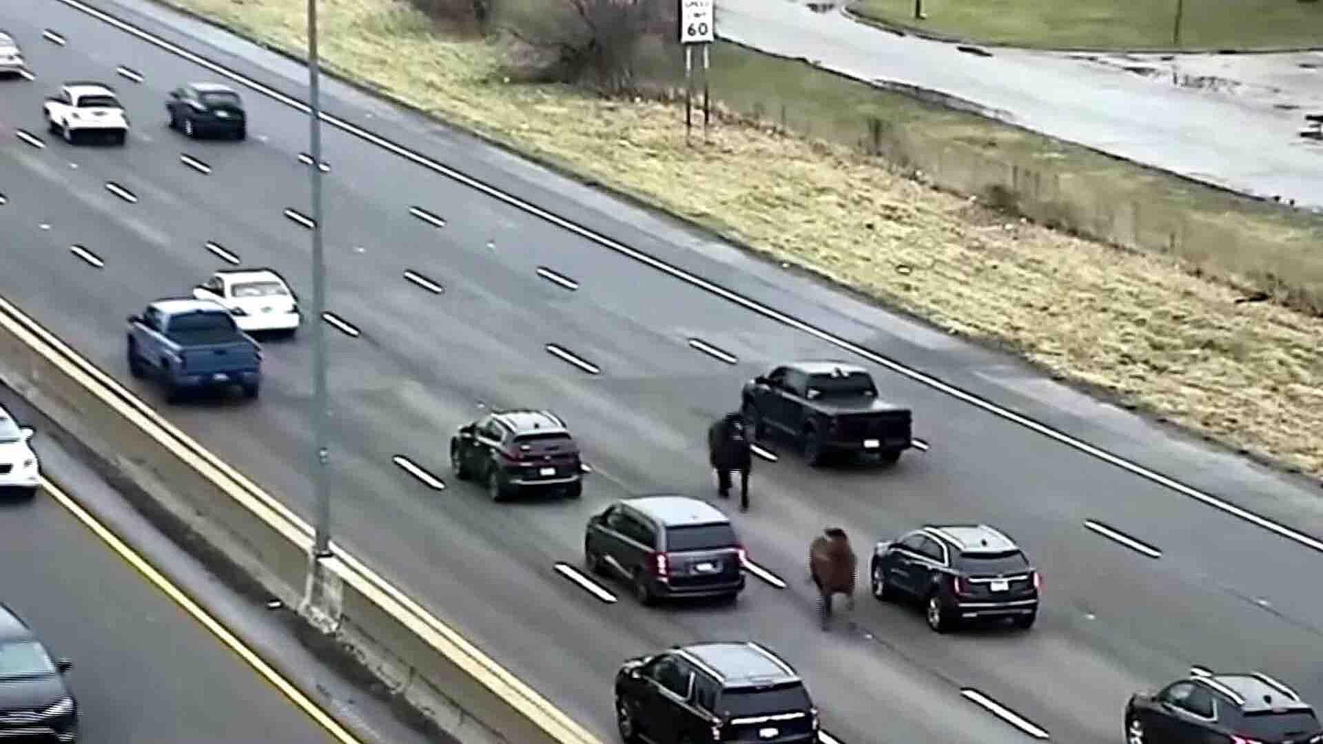 Caballos de la Policía Escapan y Corren en Autopista de Ohio, EUA