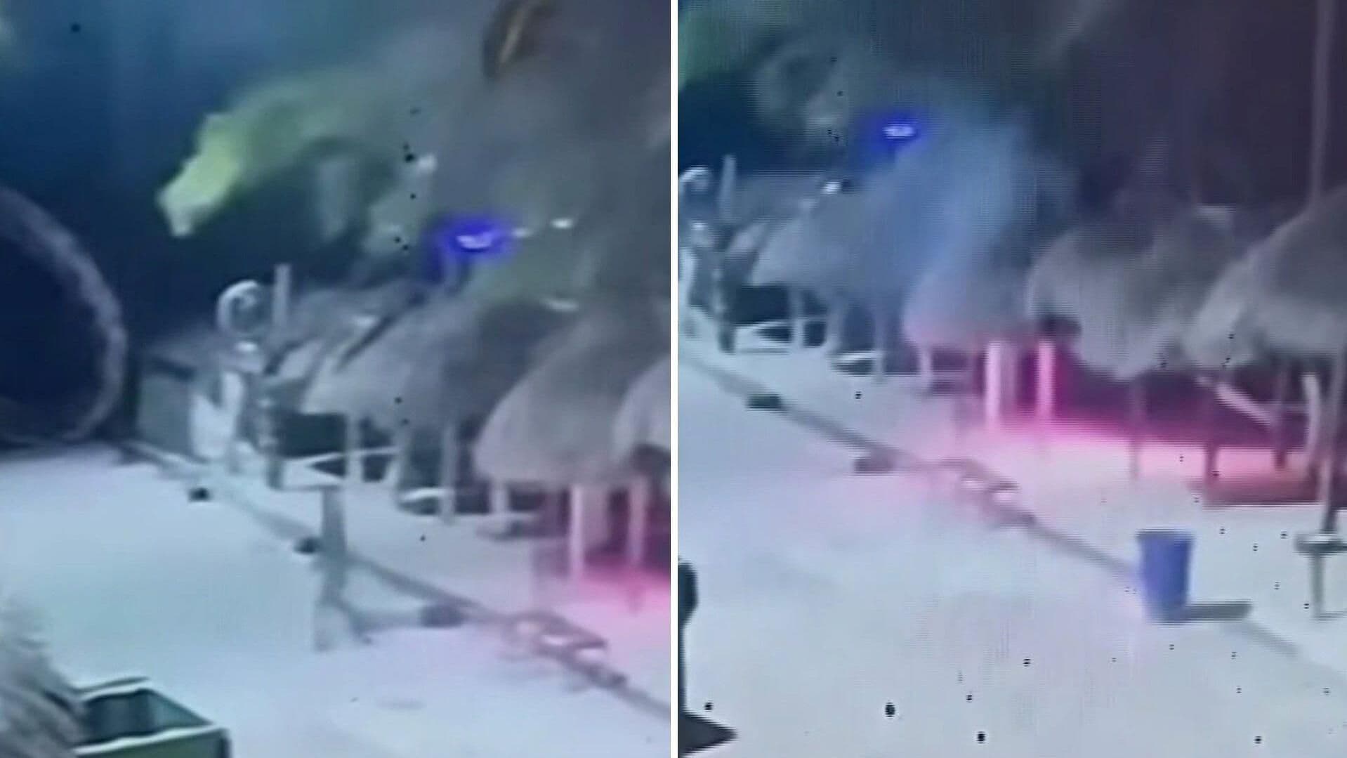 VIDEO: Captan Momento en que Hombre Presuntamente Provocó Incendio en Playa Mahahual